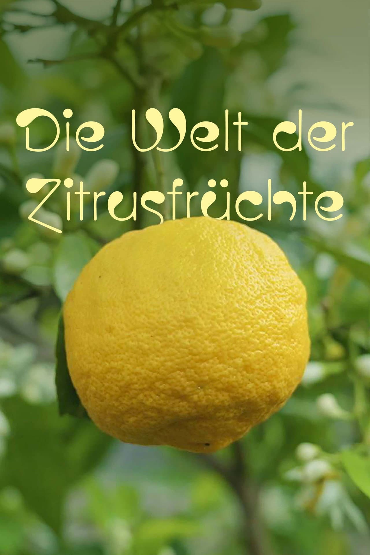 Die Welt der Zitrusfrüchte preview 2