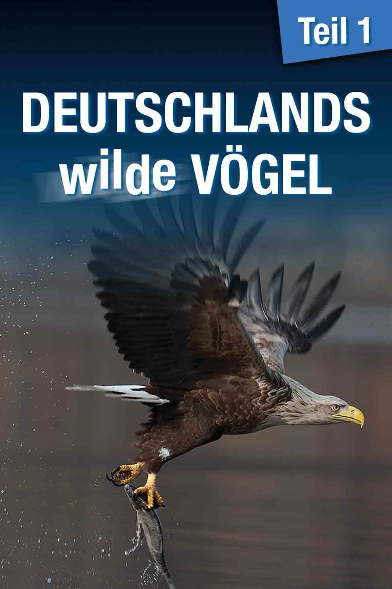 Deutschlands wilde Vögel preview 2