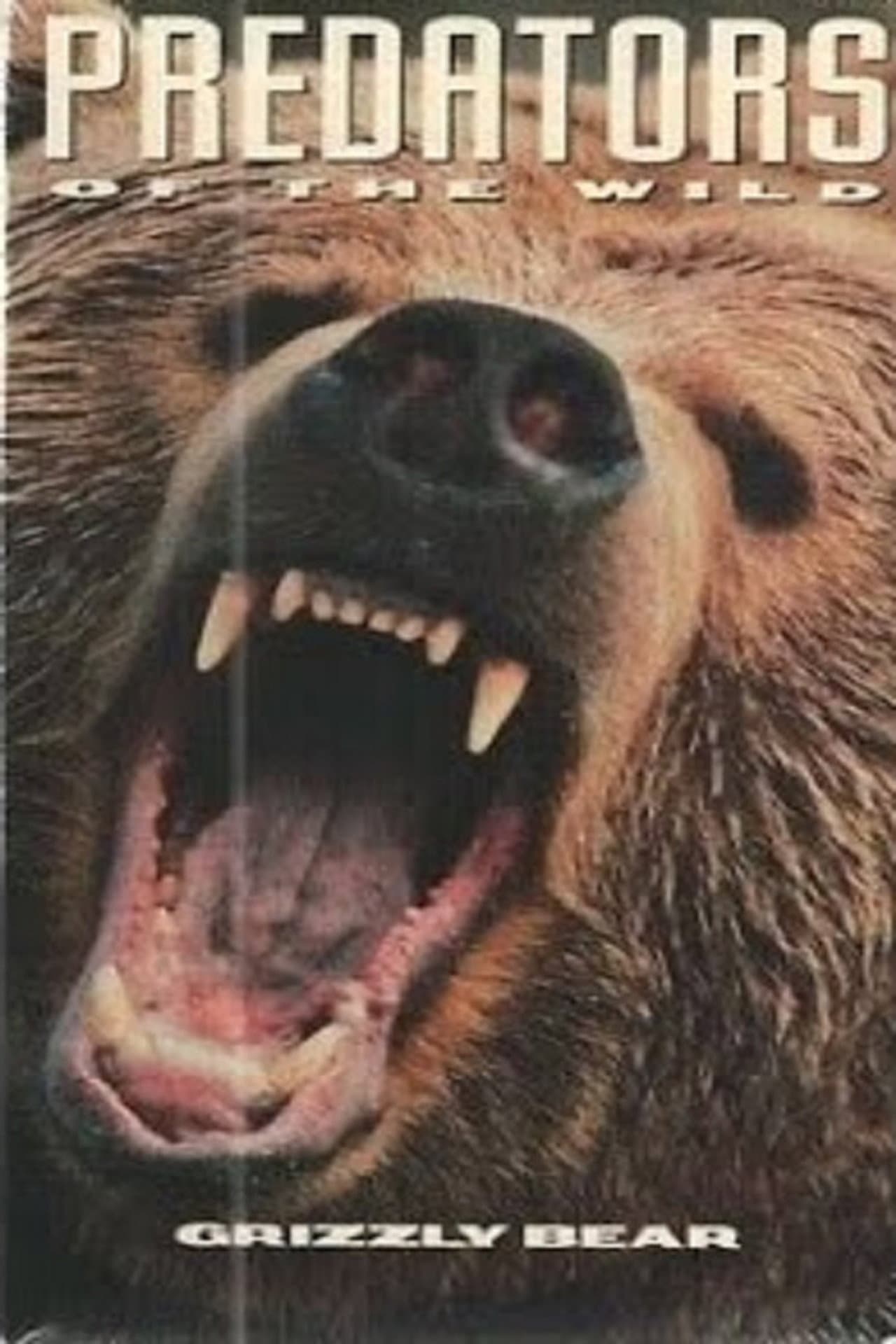 Predators of the Wild: Grizzly Bear preview 2
