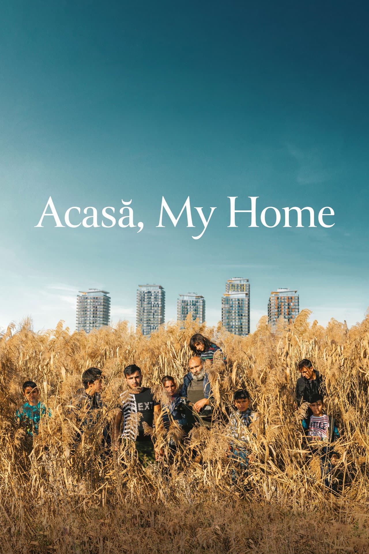 Acasă, My Home preview 2