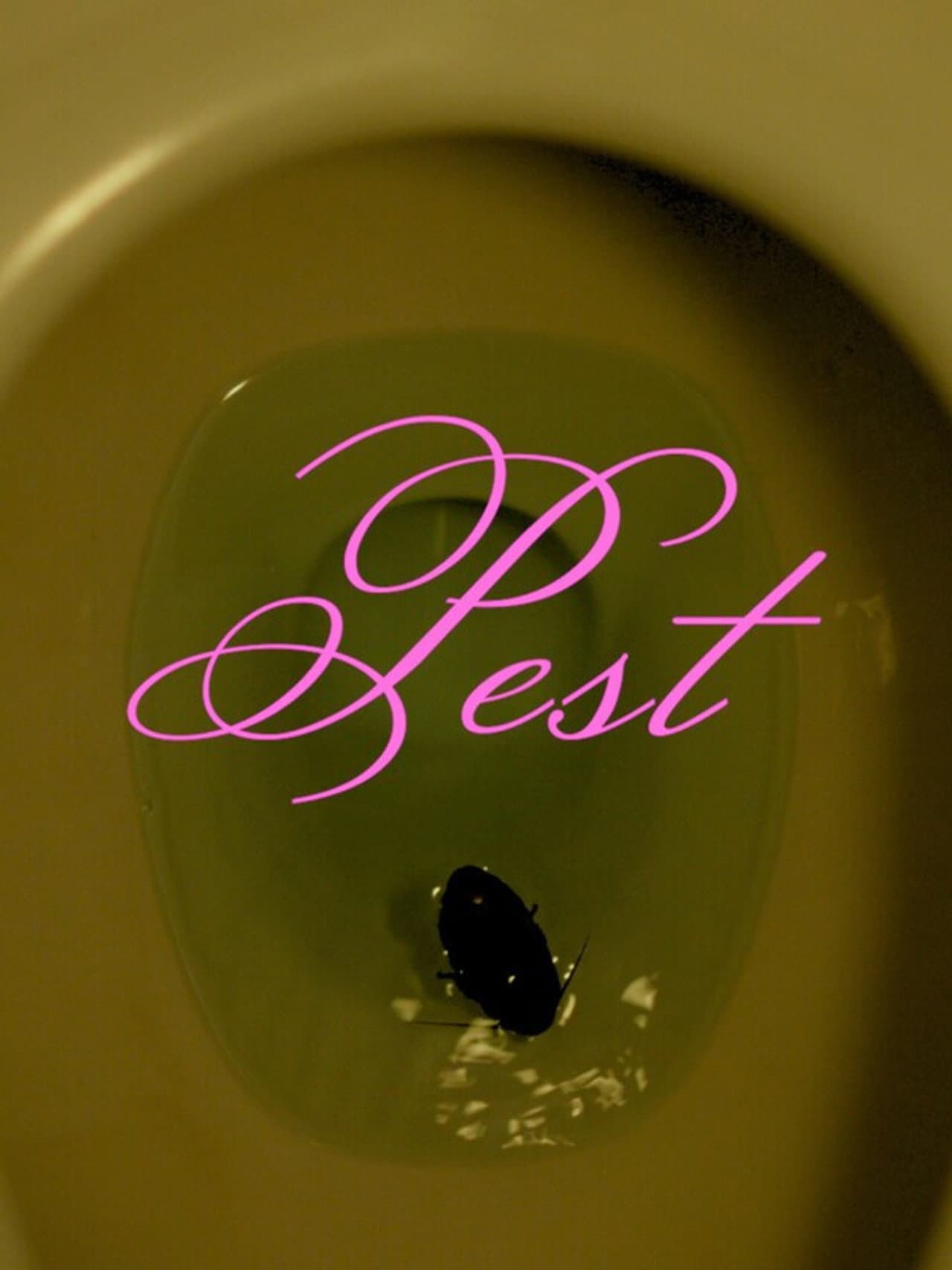 Pest preview 2