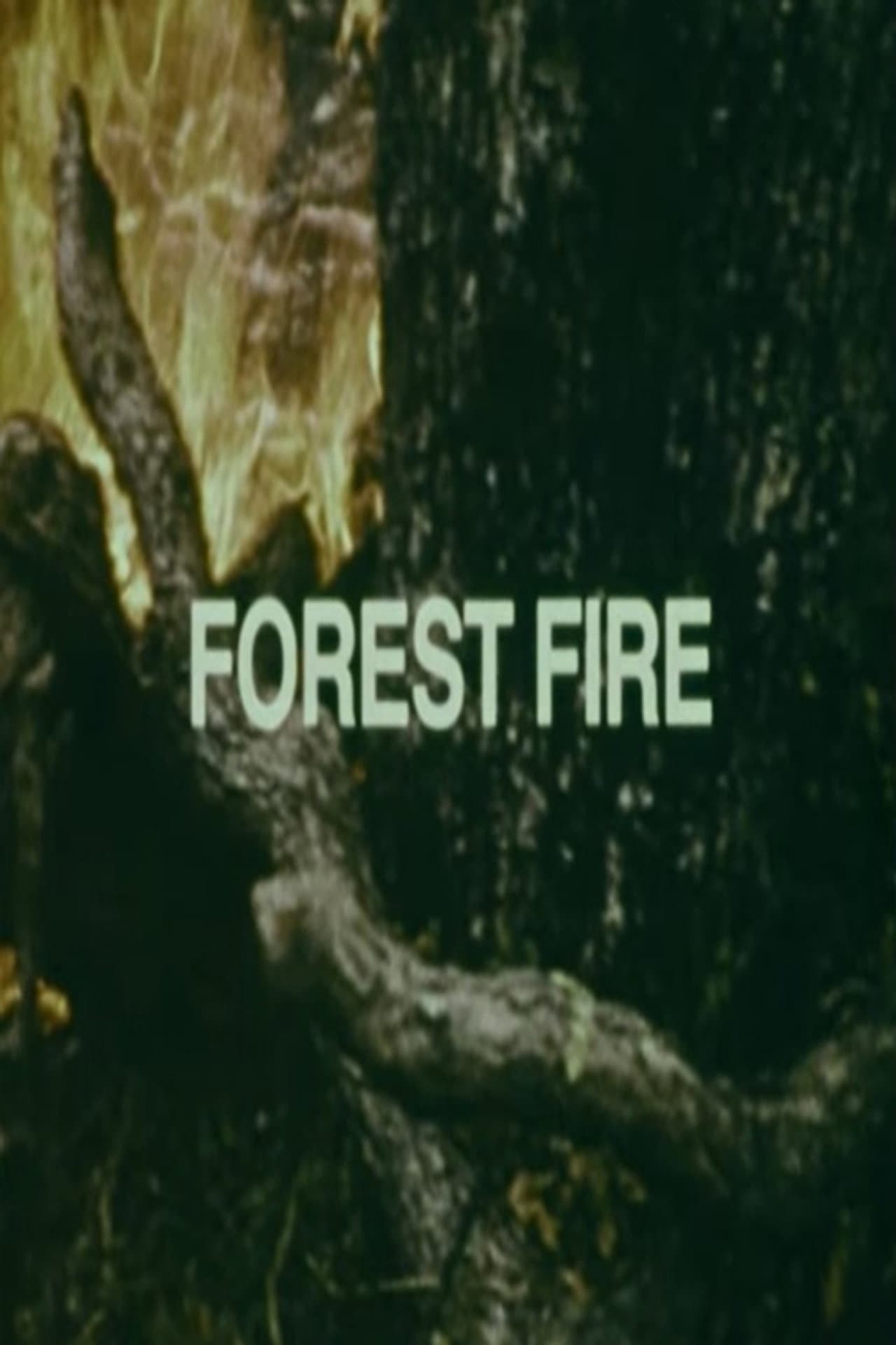 Your Chance to Live: Forest Fire preview 2