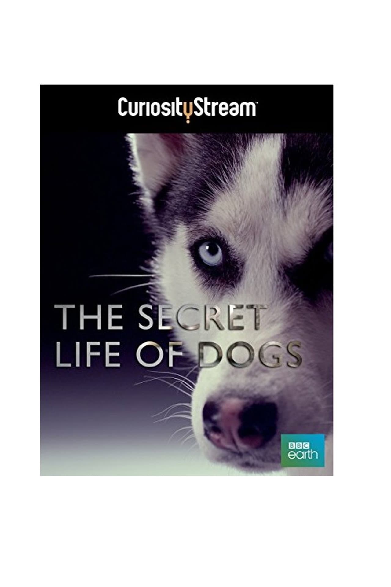 The Secret Life of Dogs preview 2