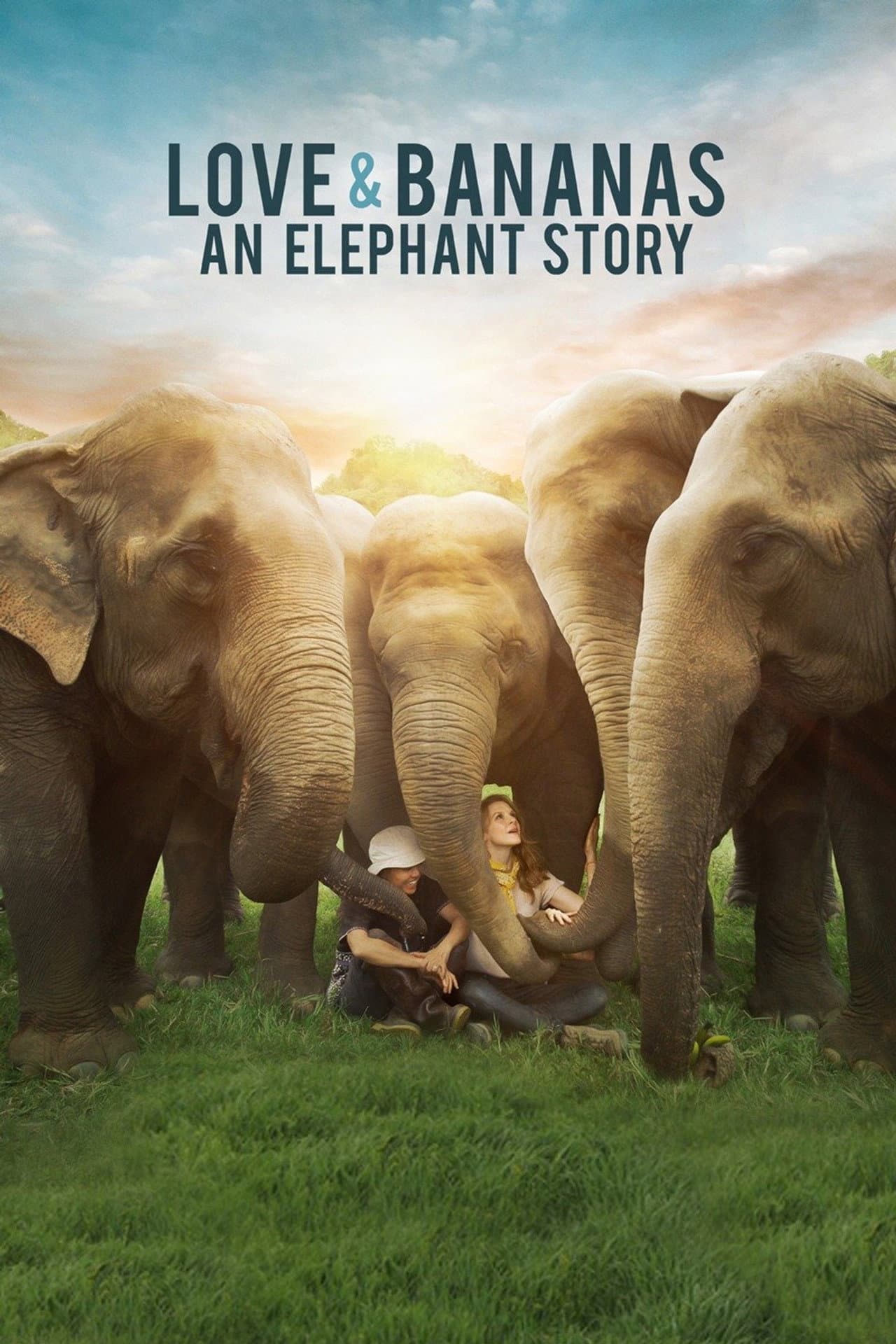 Love & Bananas: An Elephant Story preview 2