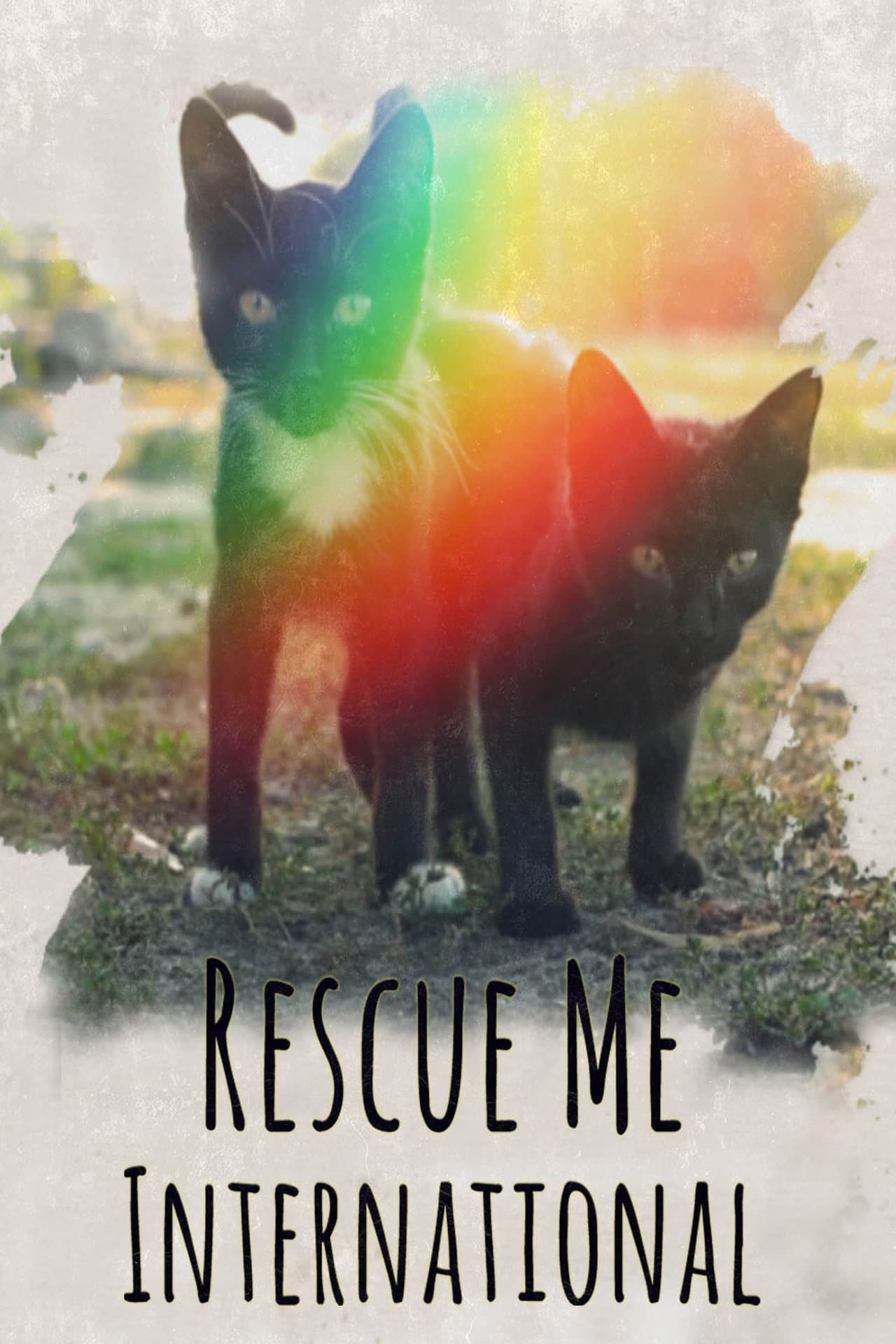 Rescue Me: International preview 1