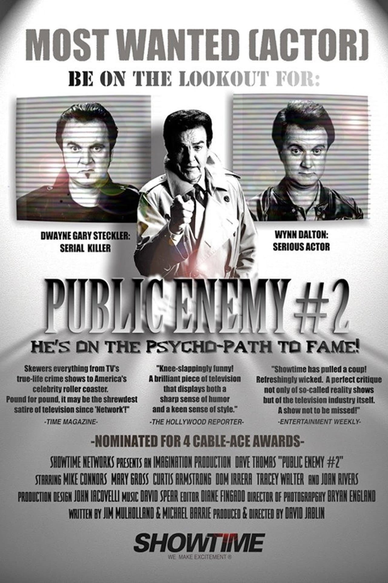 Public Enemy #2 preview 1