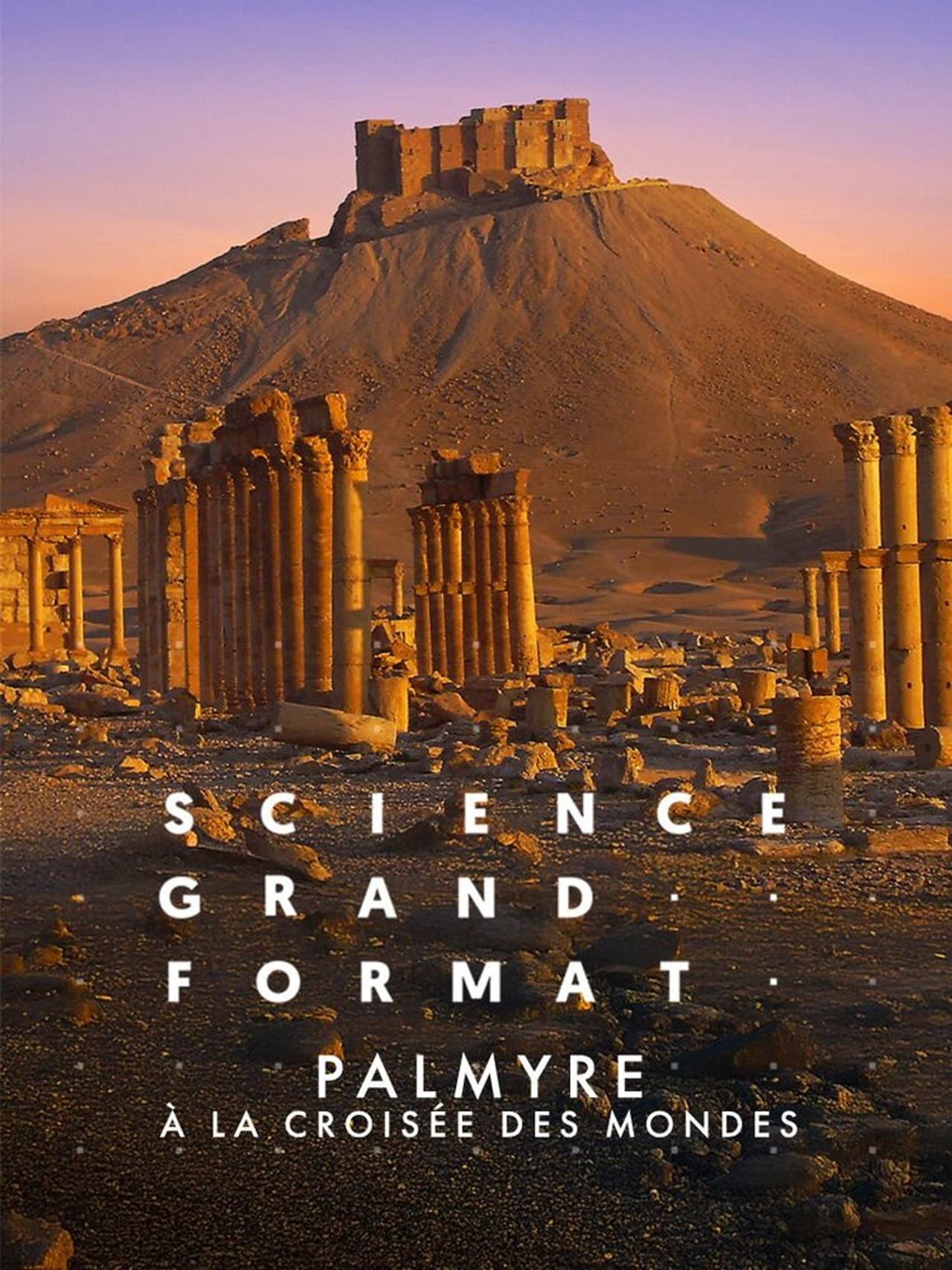 Palmyre, à la croisée des mondes preview 2