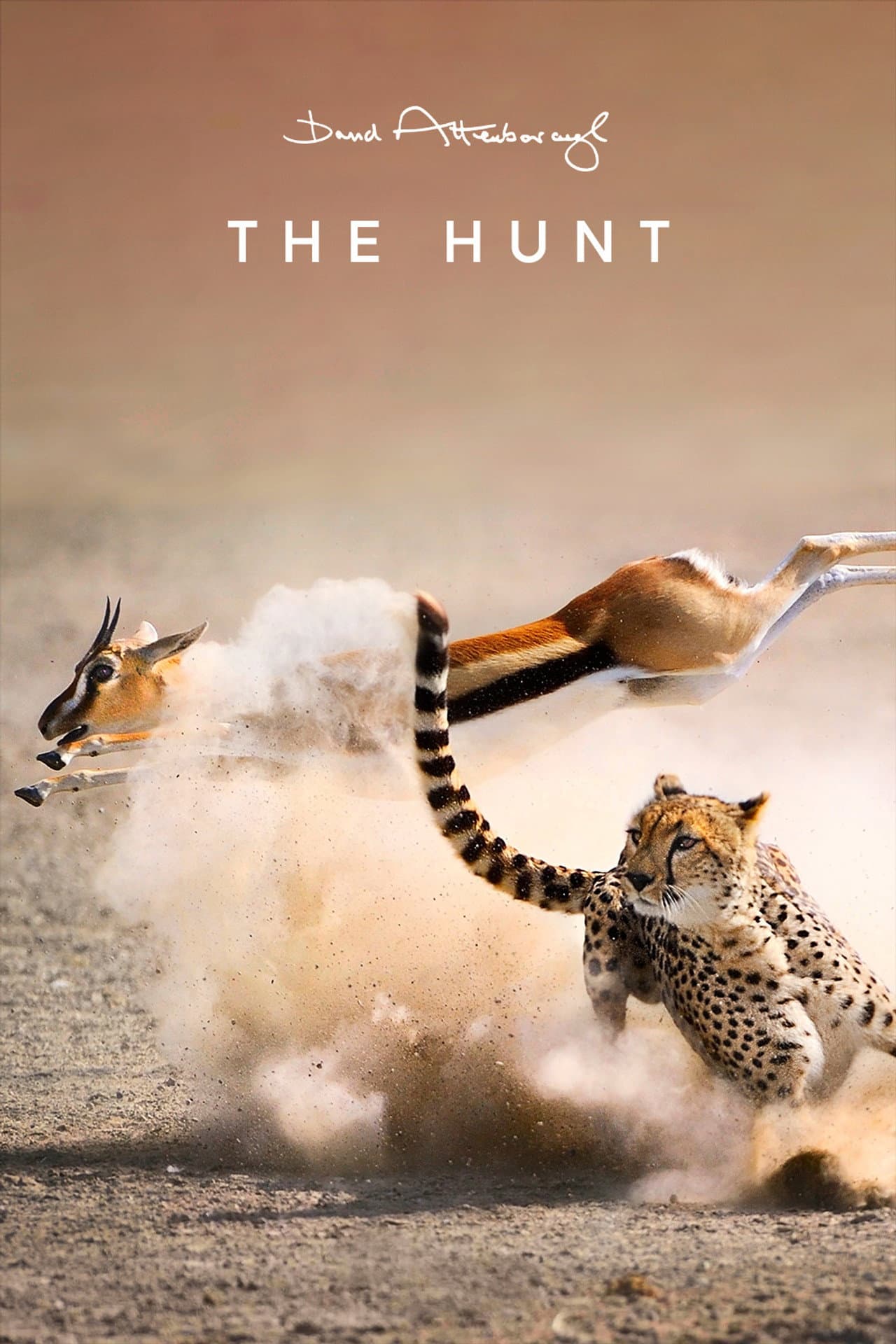 The Hunt preview 2