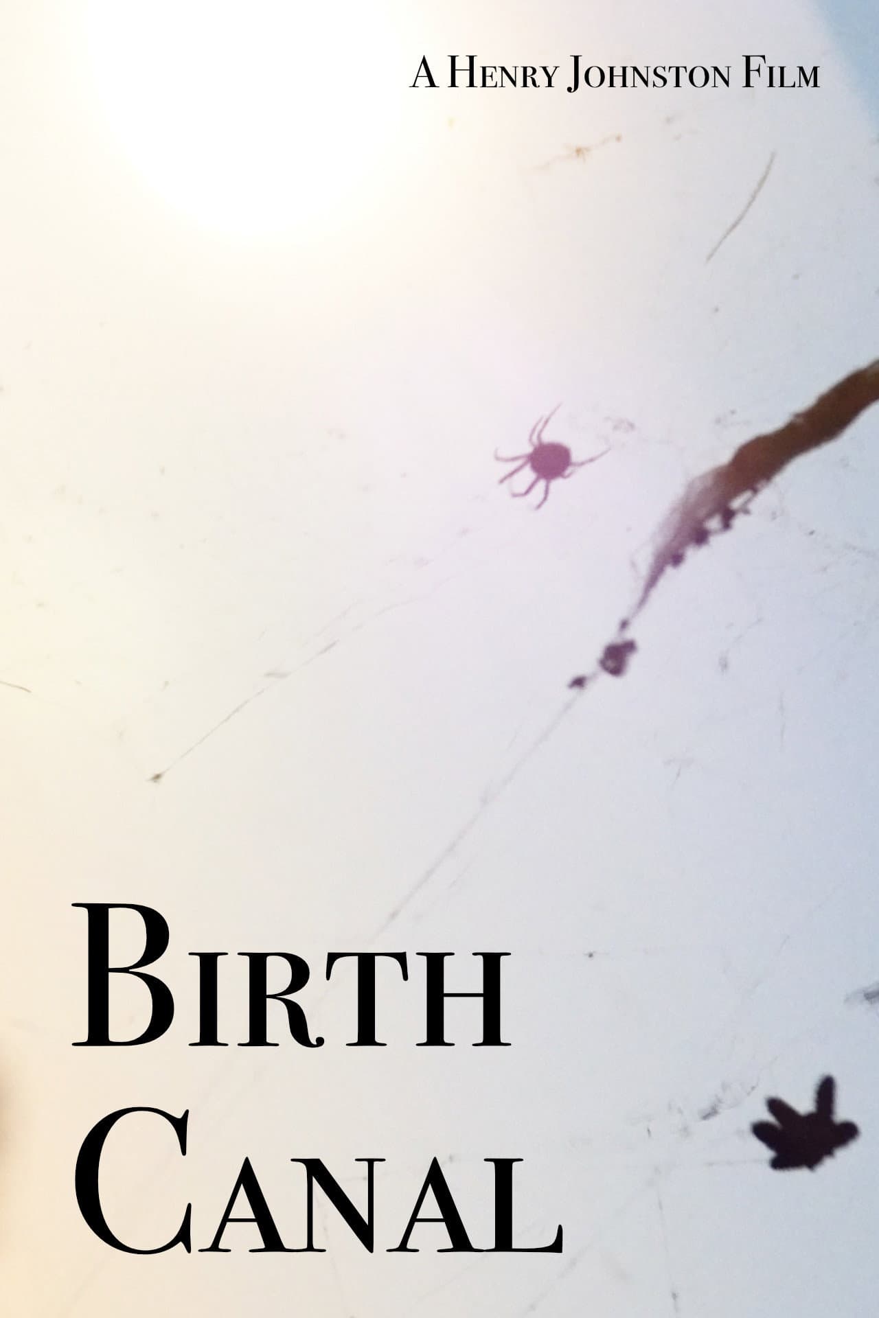 Birth Canal preview 2