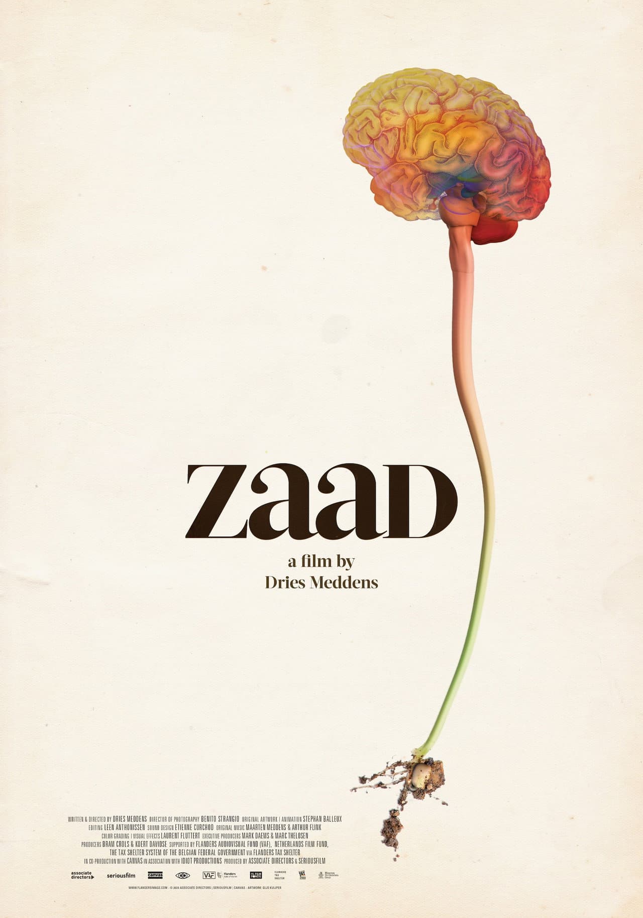 ZAAD preview 1