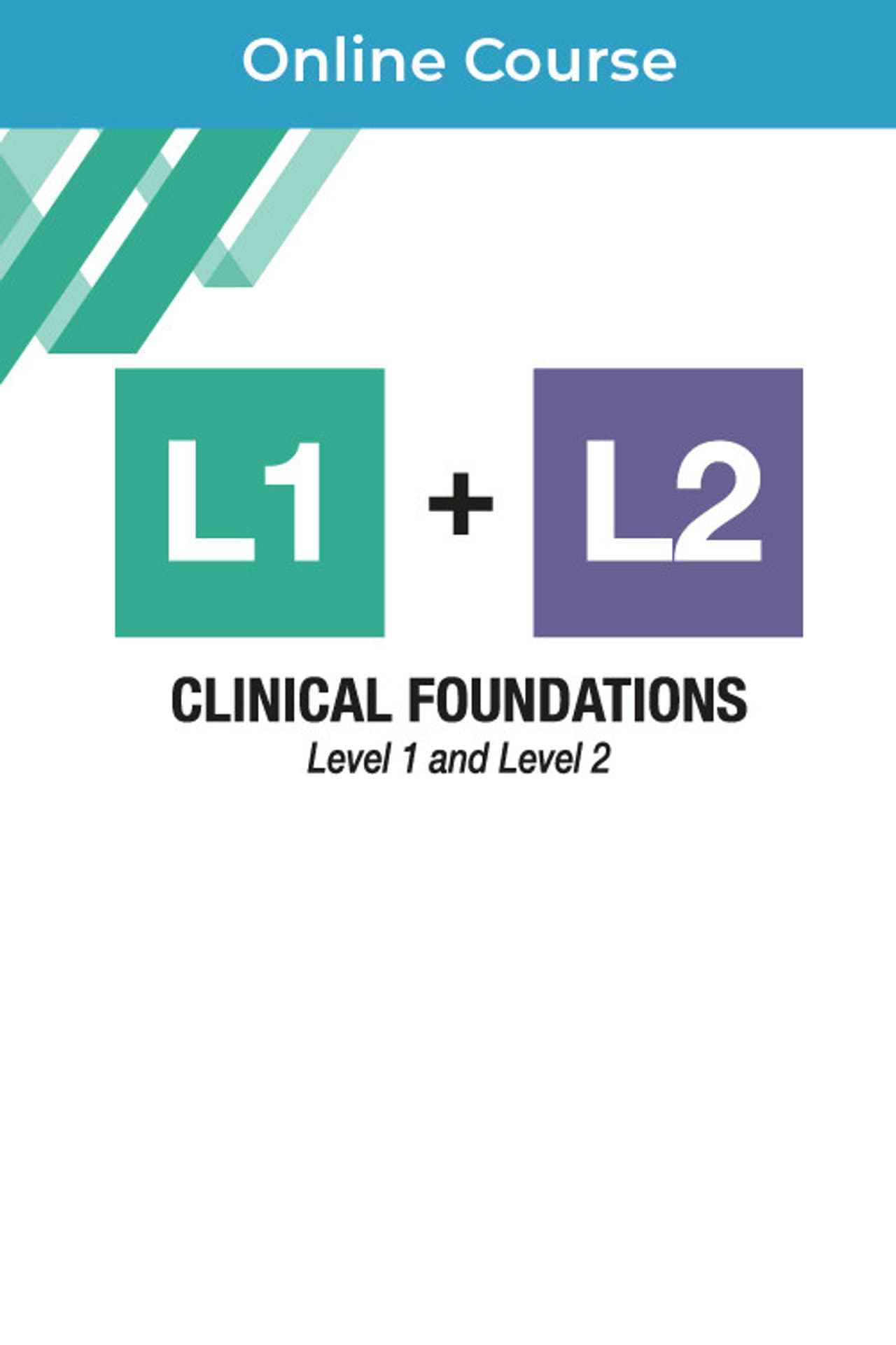Clinical Foundations in Gottman Method Couples Therapy preview 2
