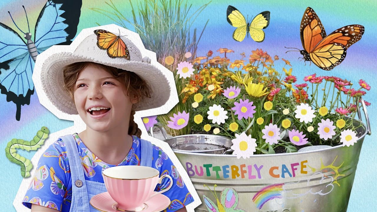 Butterfly Cafe