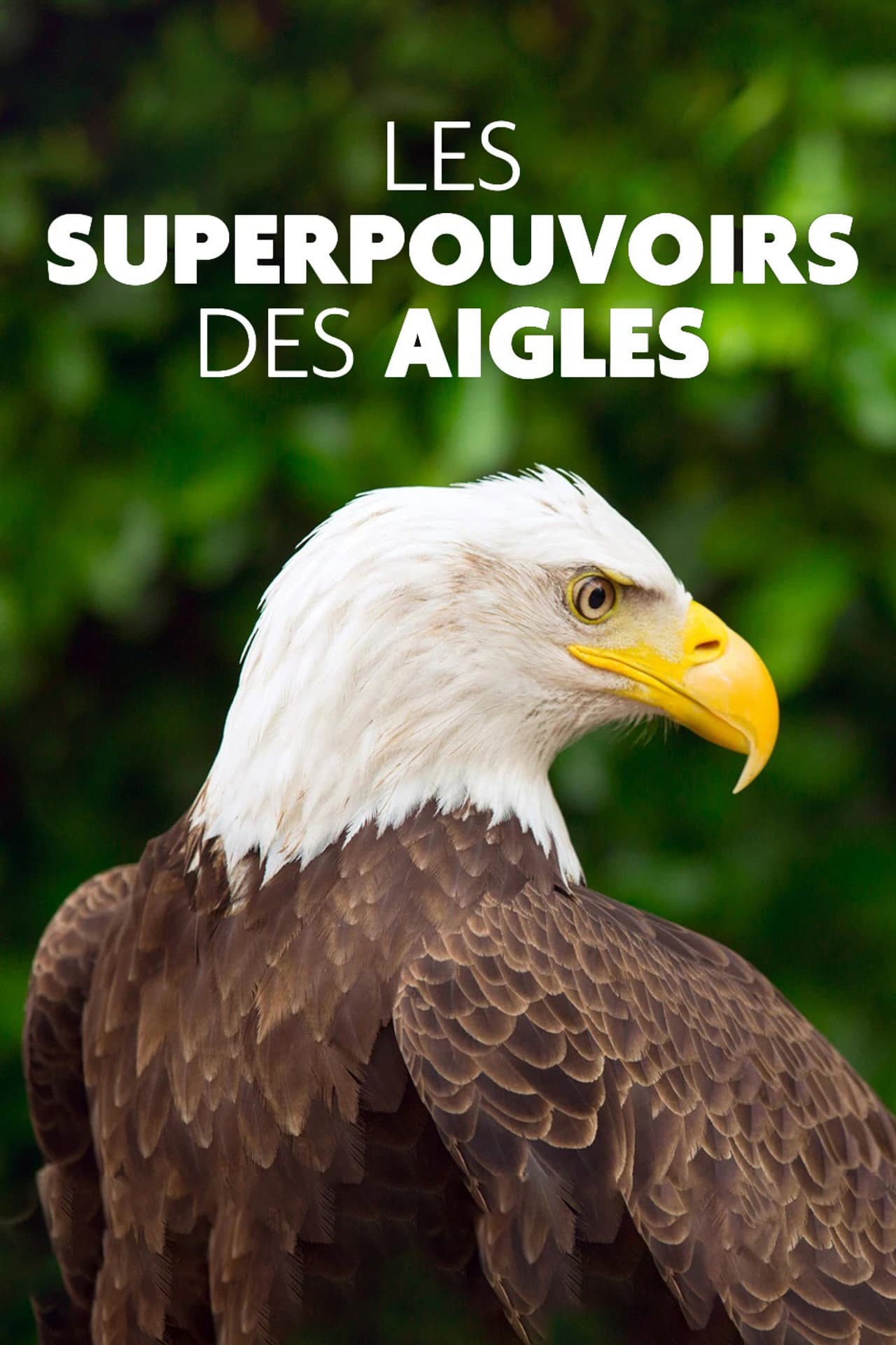Superpowered Eagles preview 2