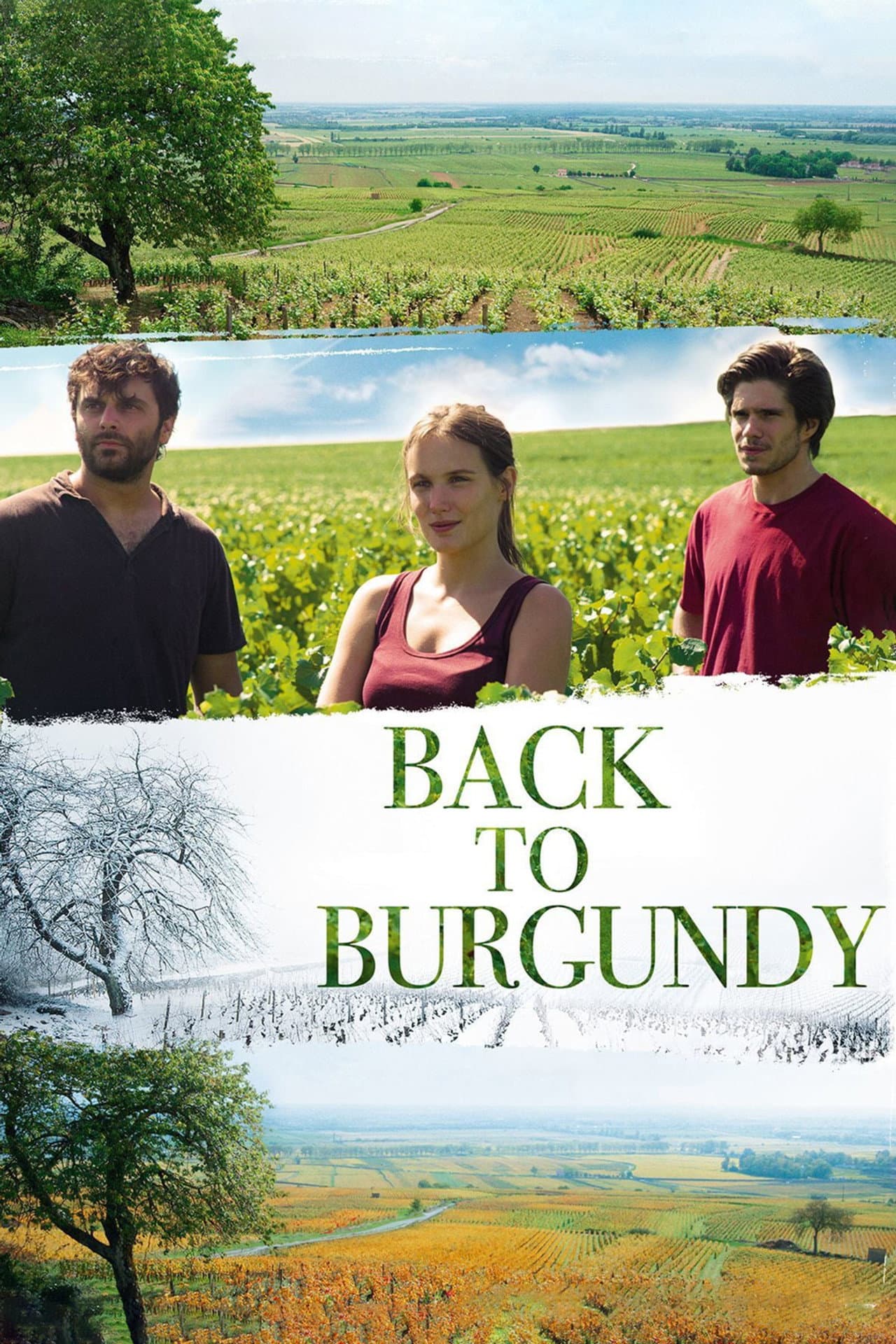 Back to Burgundy preview 2