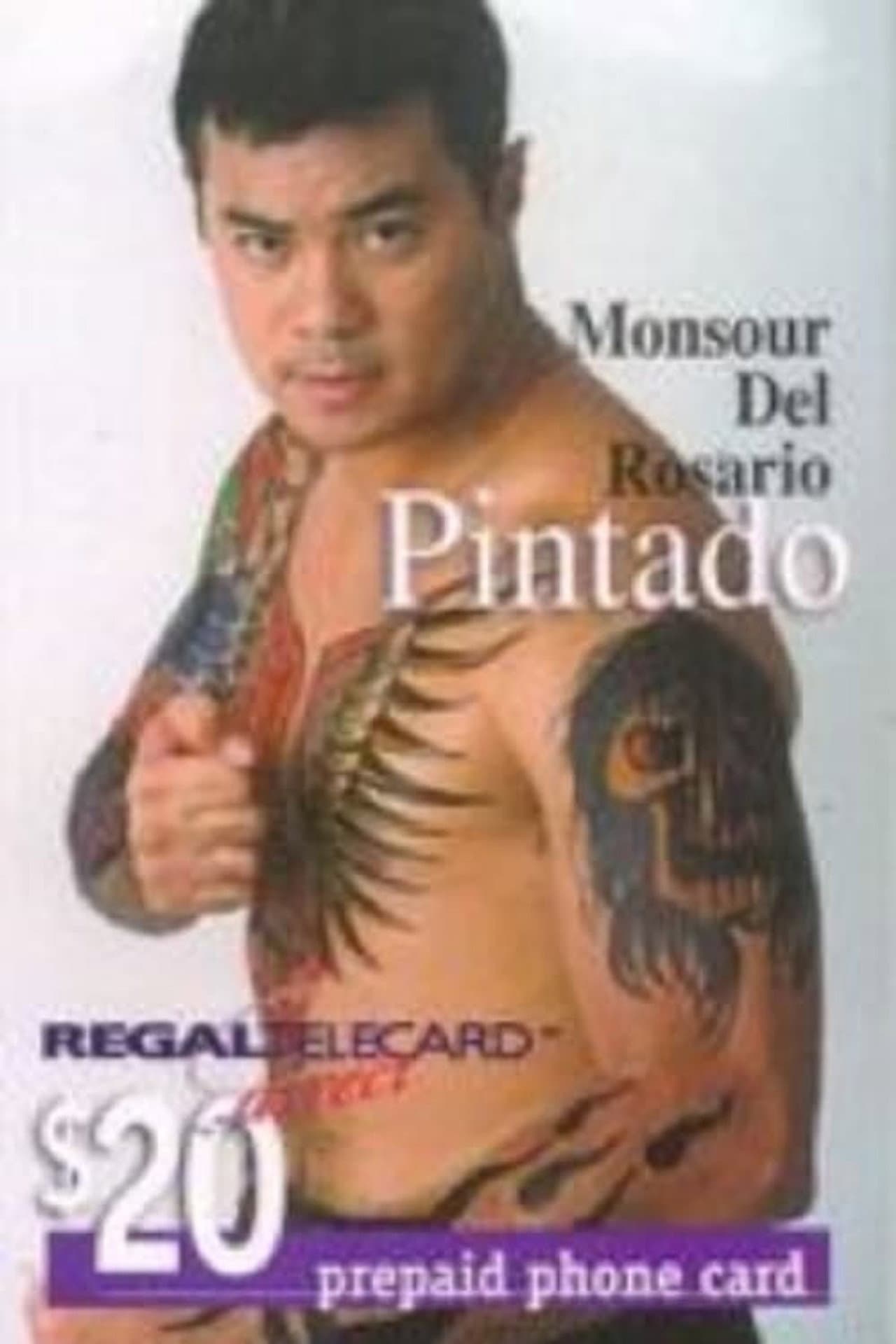 Pintado preview 1