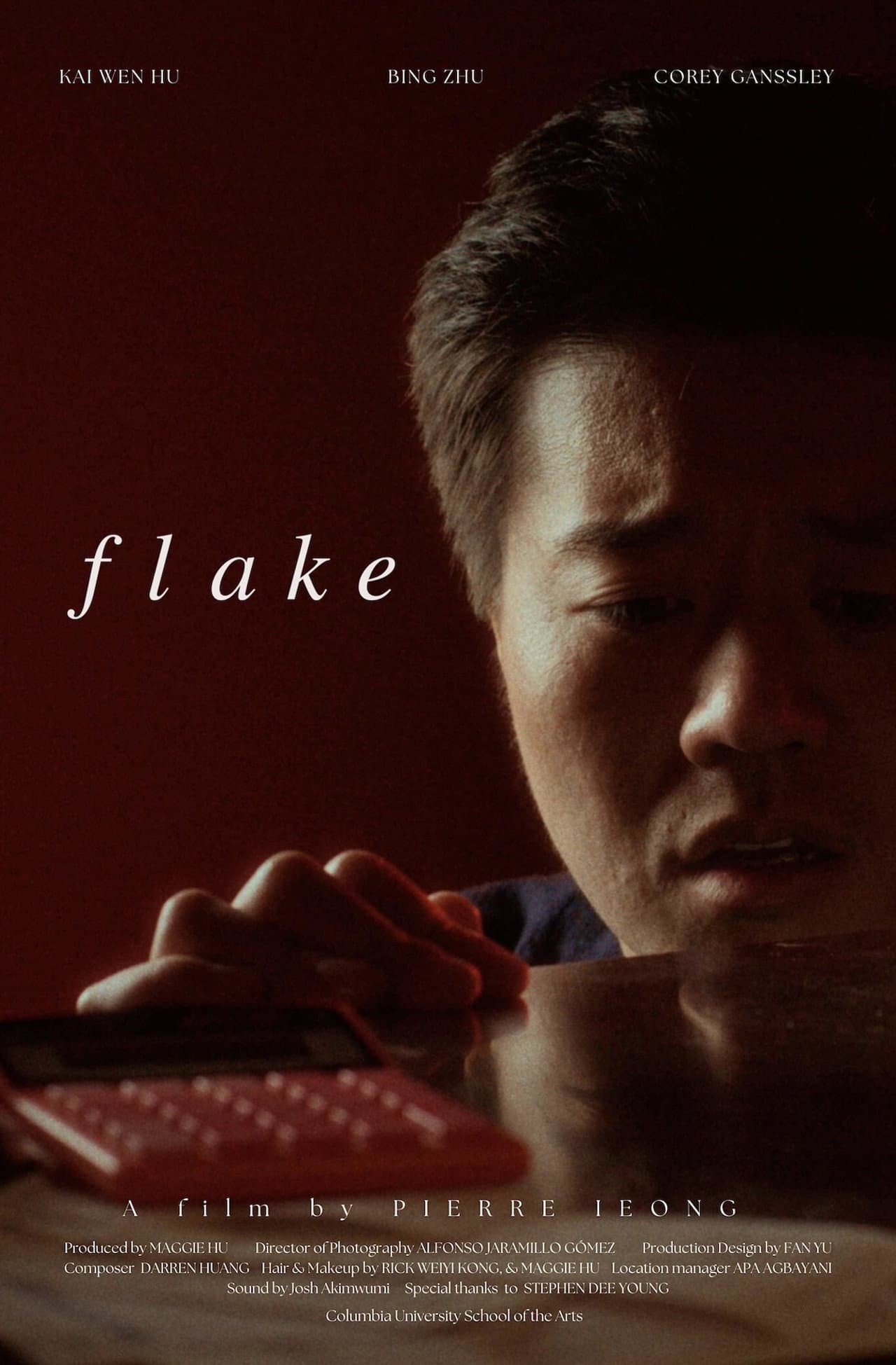 Flake preview 2