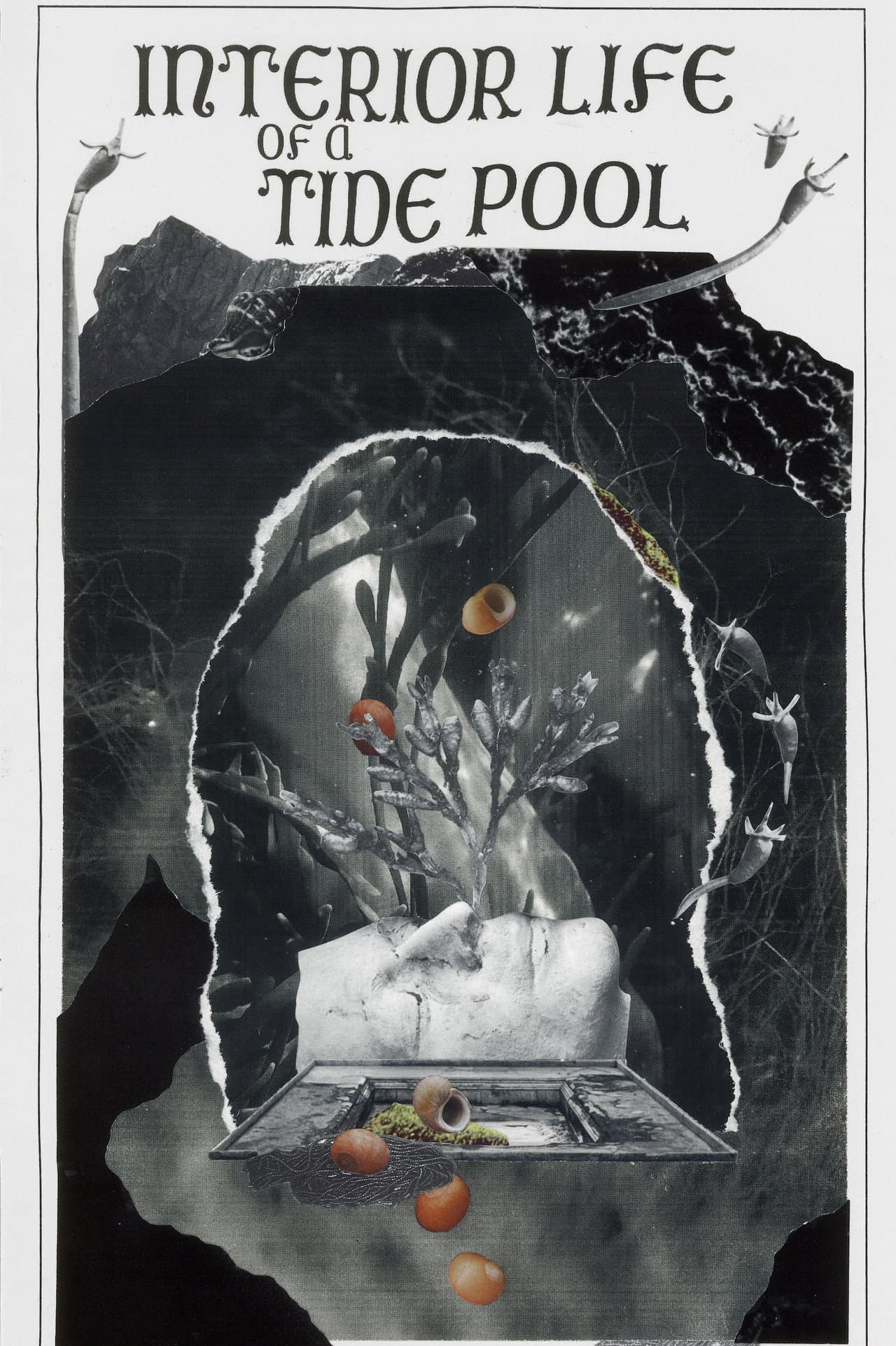 Interior Life of a Tidepool preview 1