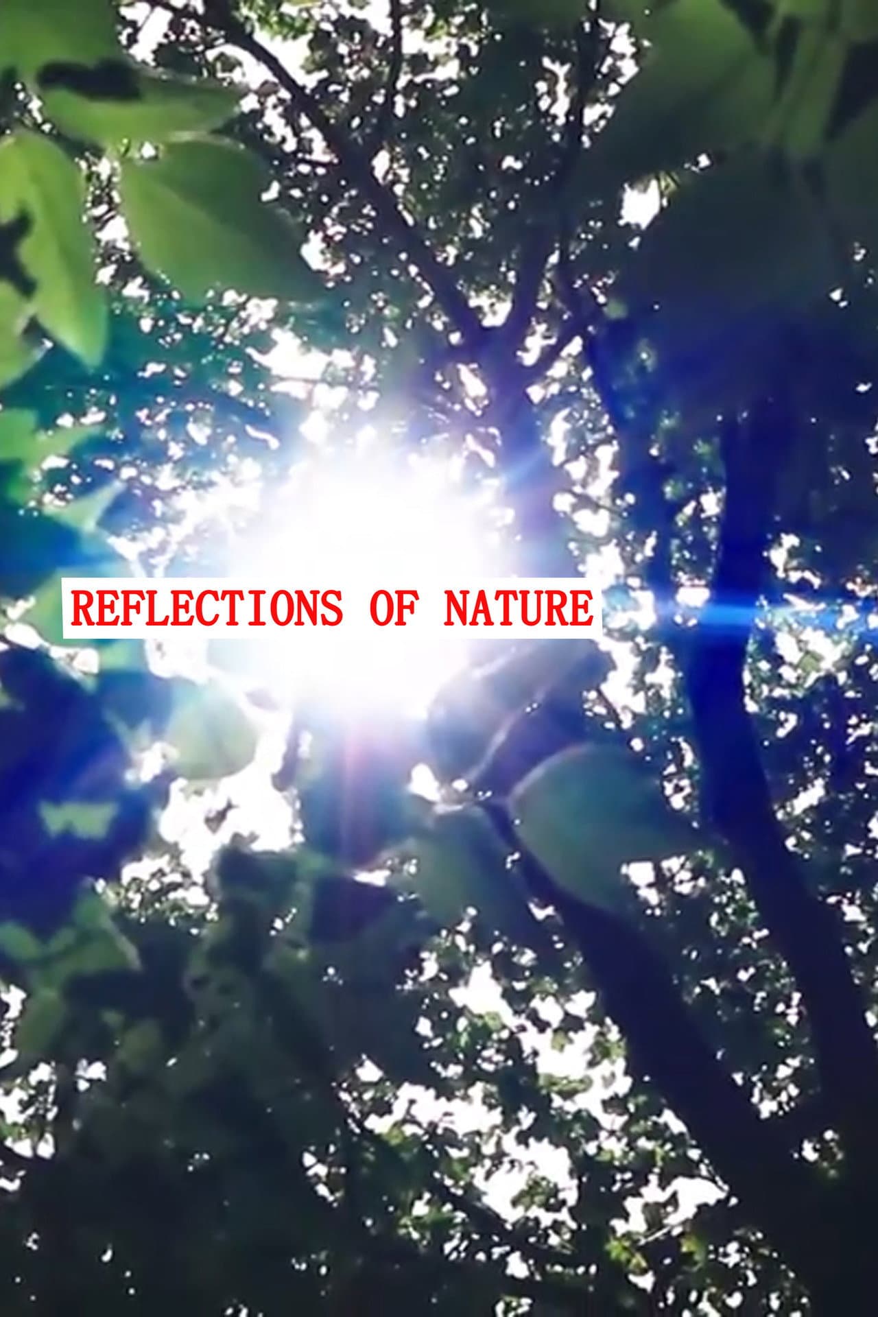 Reflections of Nature preview 2