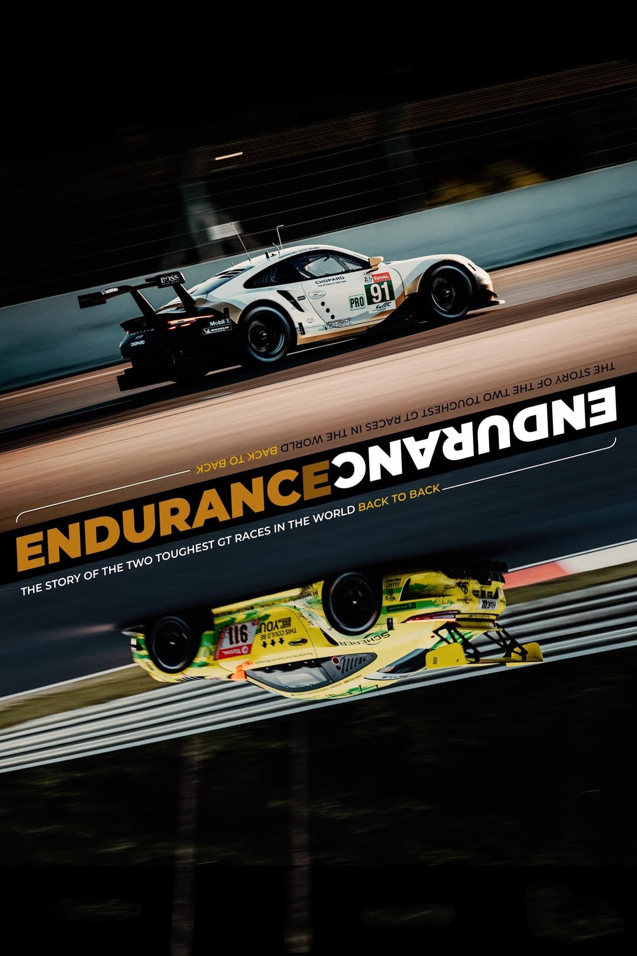ENDURANCE preview 1