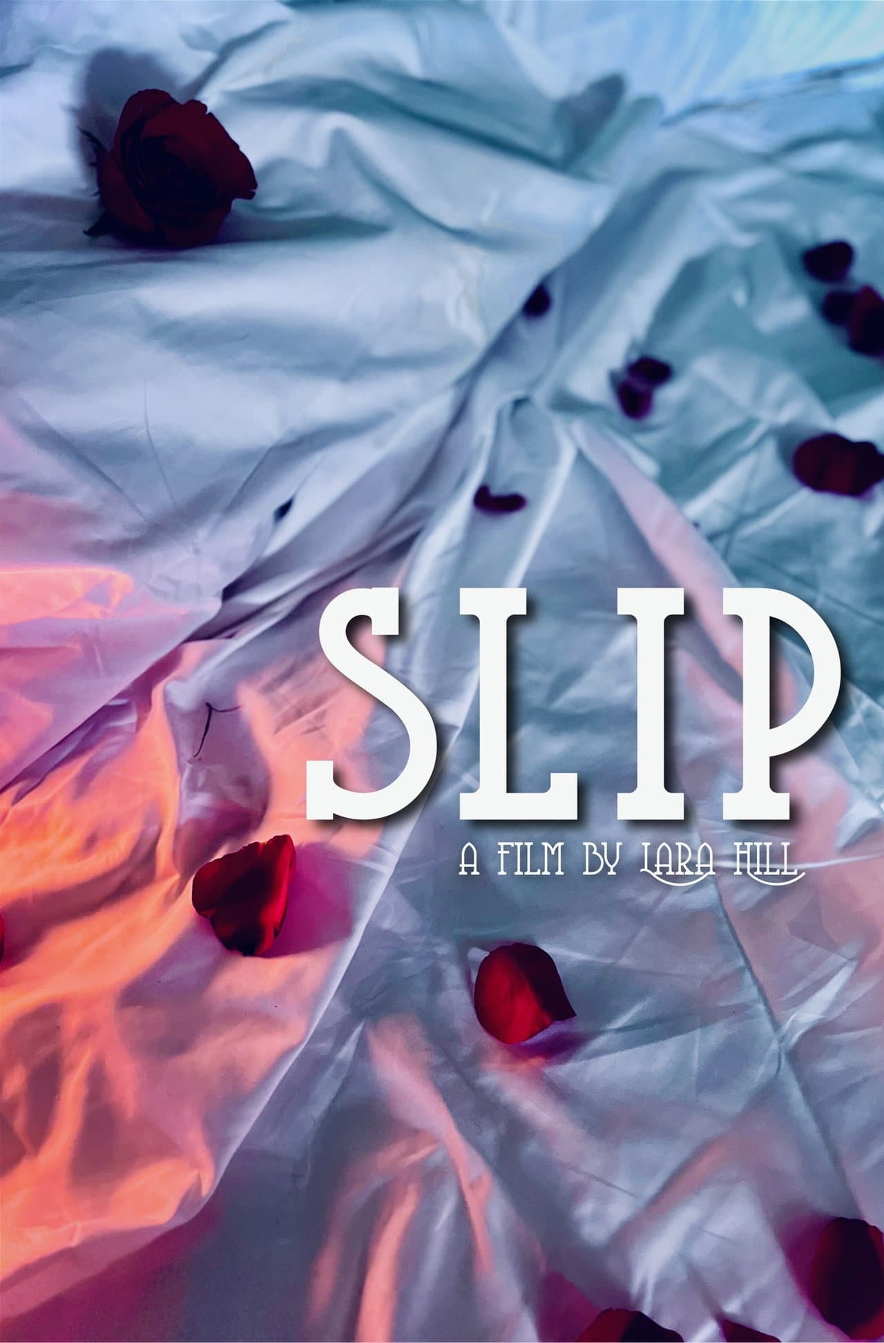 Slip preview 1