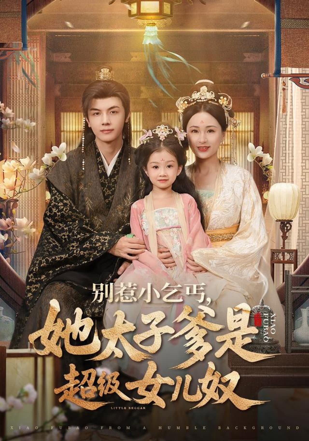 别惹小乞丐，她太子爹是超级女儿奴 preview 1