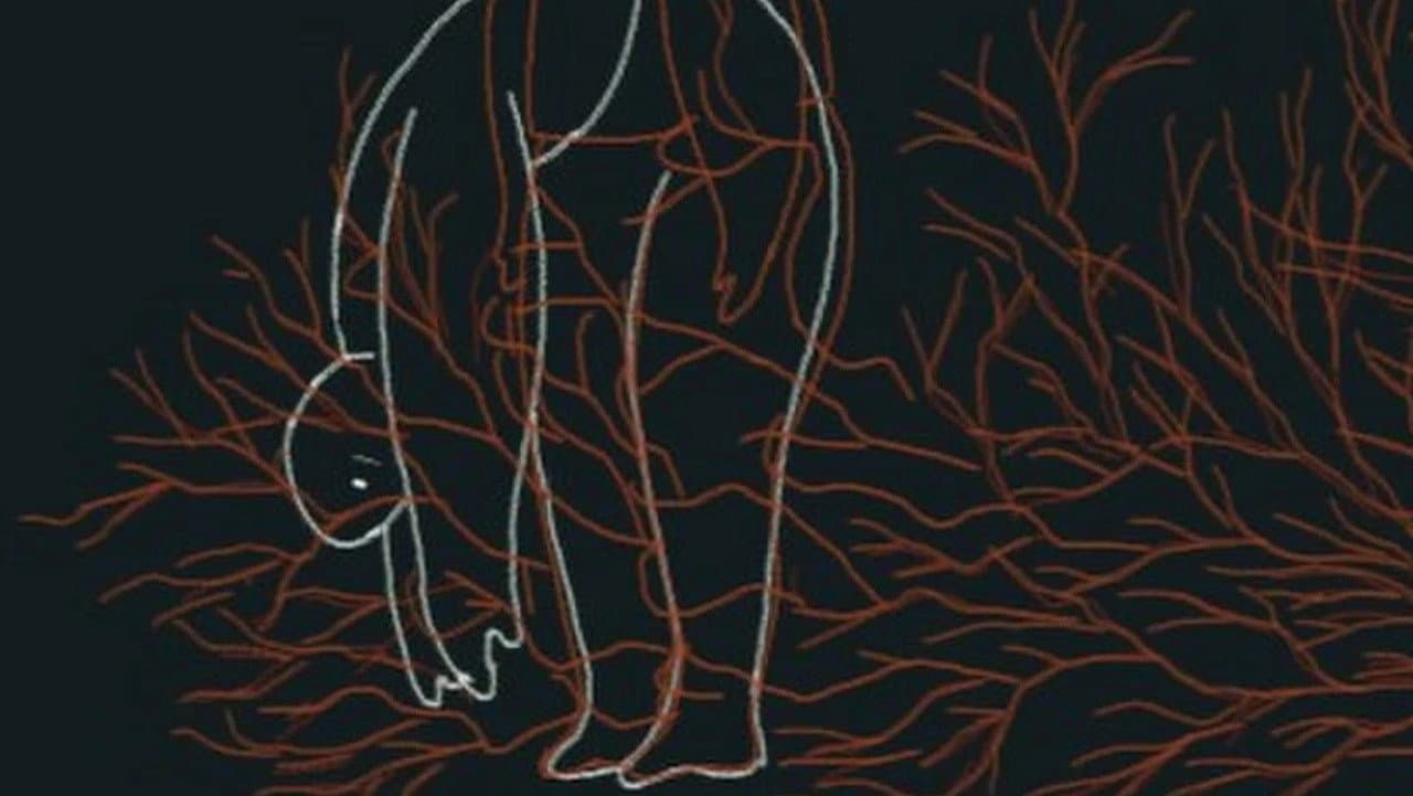 Veins of Anxiety