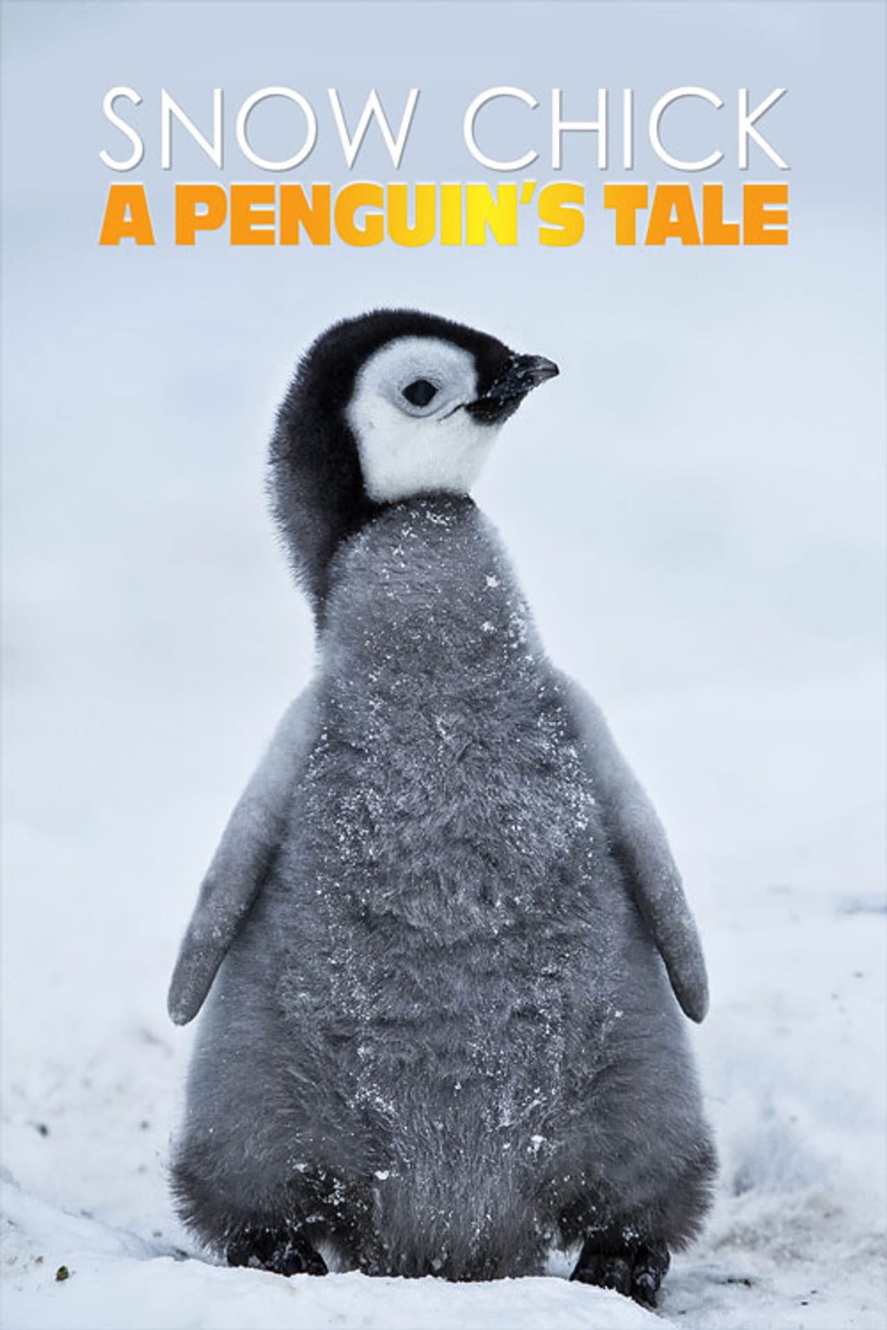 Snow Chick - A Penguin's Tale preview 2