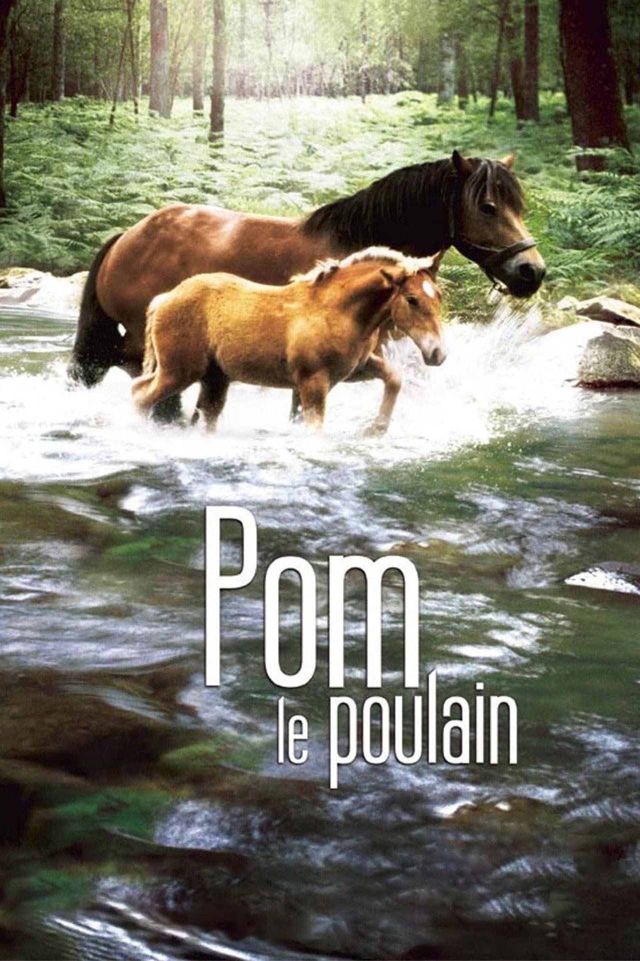 Pom, le poulain preview 1