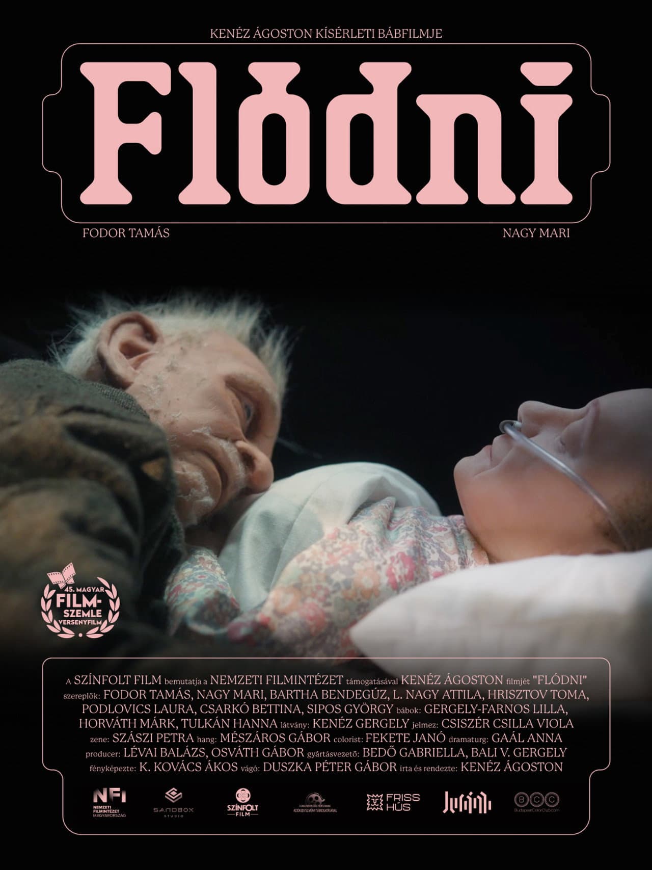 Flódni preview 1