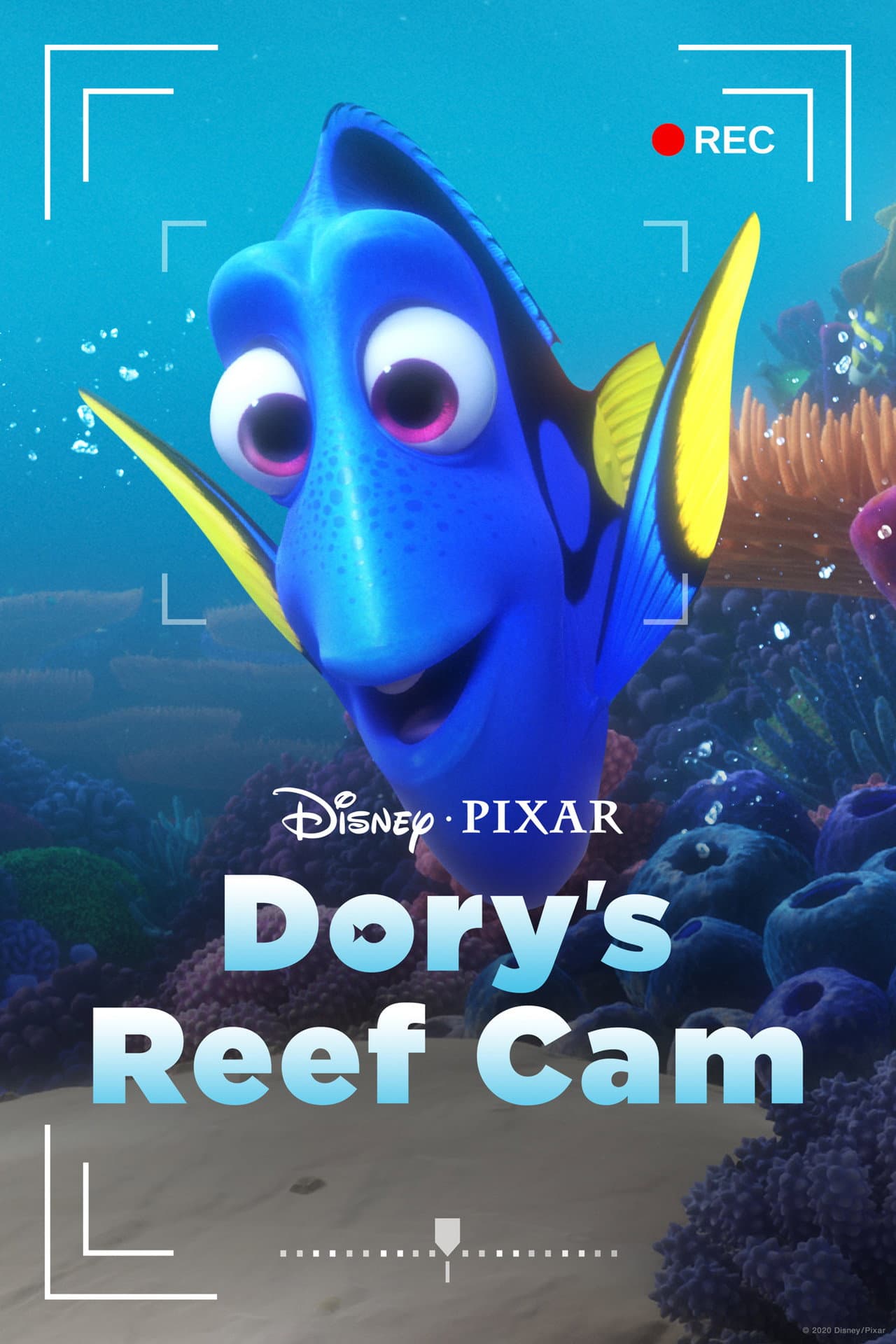Dory's Reef Cam preview 2
