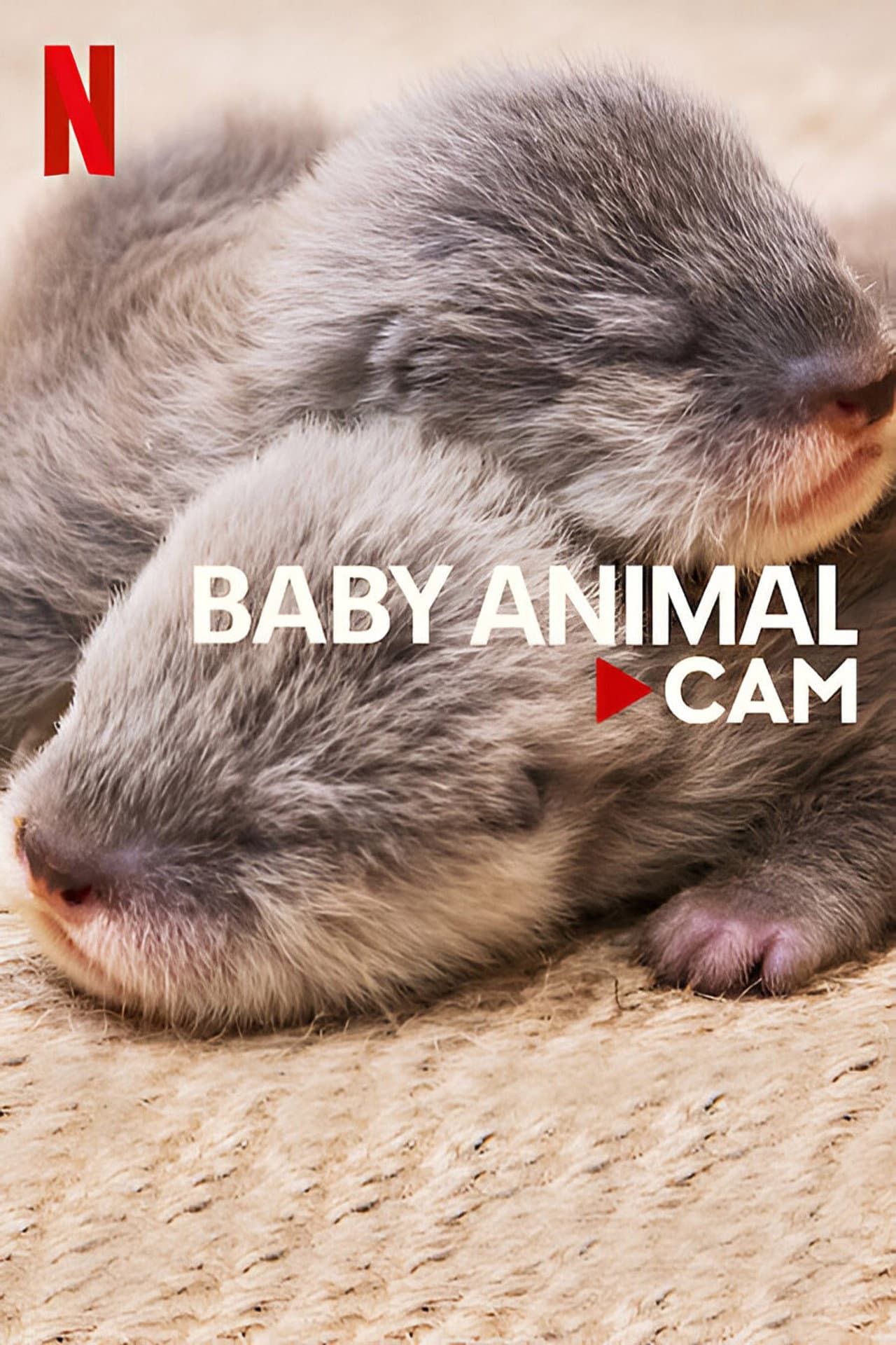 Baby Animal Cam preview 2