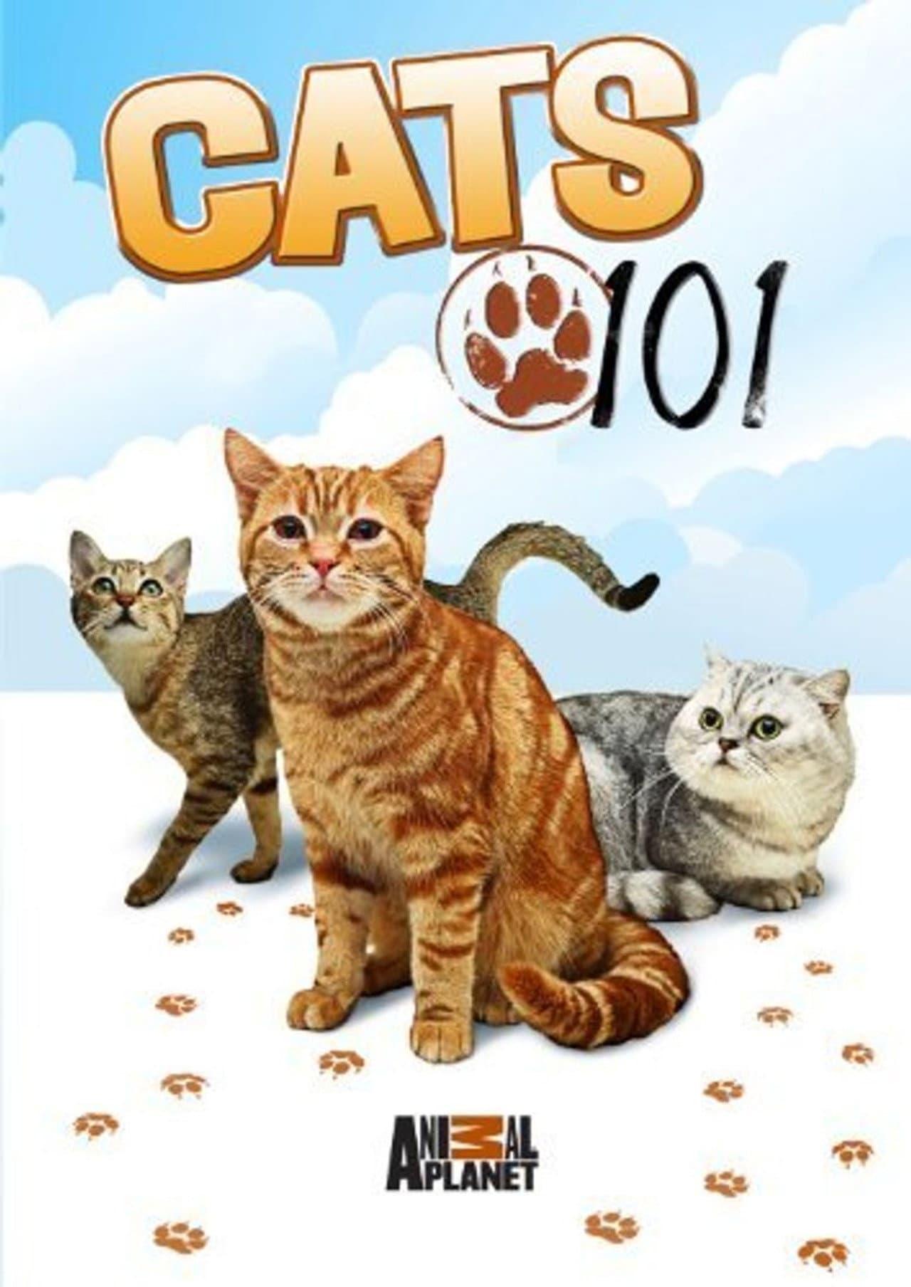 Cats 101 preview 2