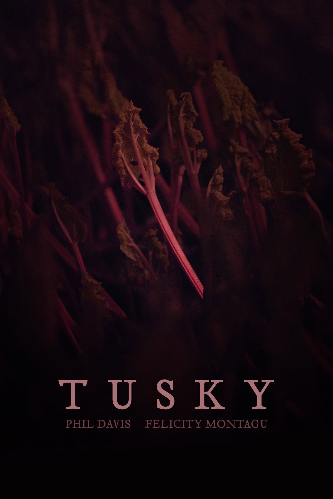 TUSKY preview 1