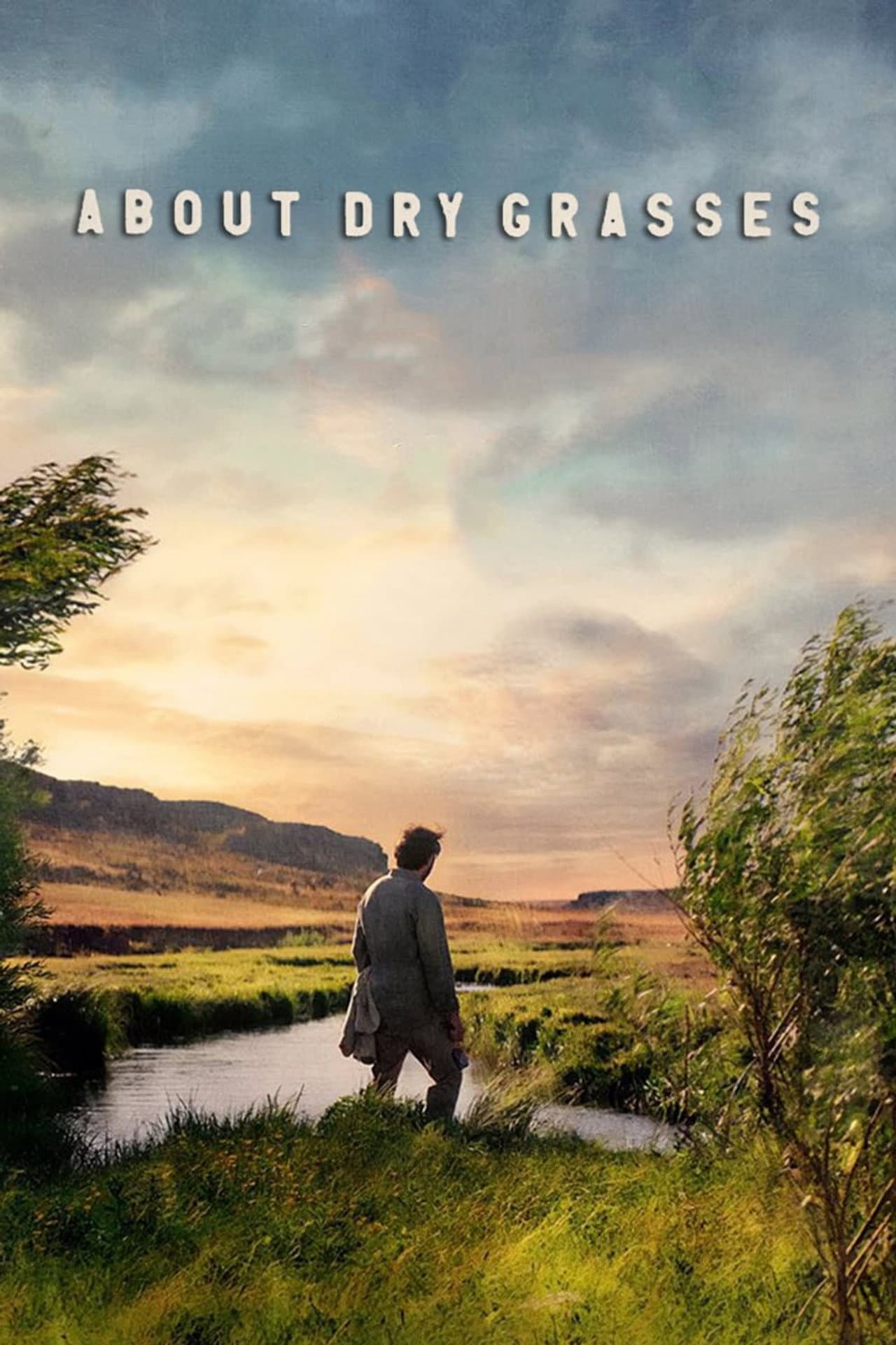 About Dry Grasses preview 2