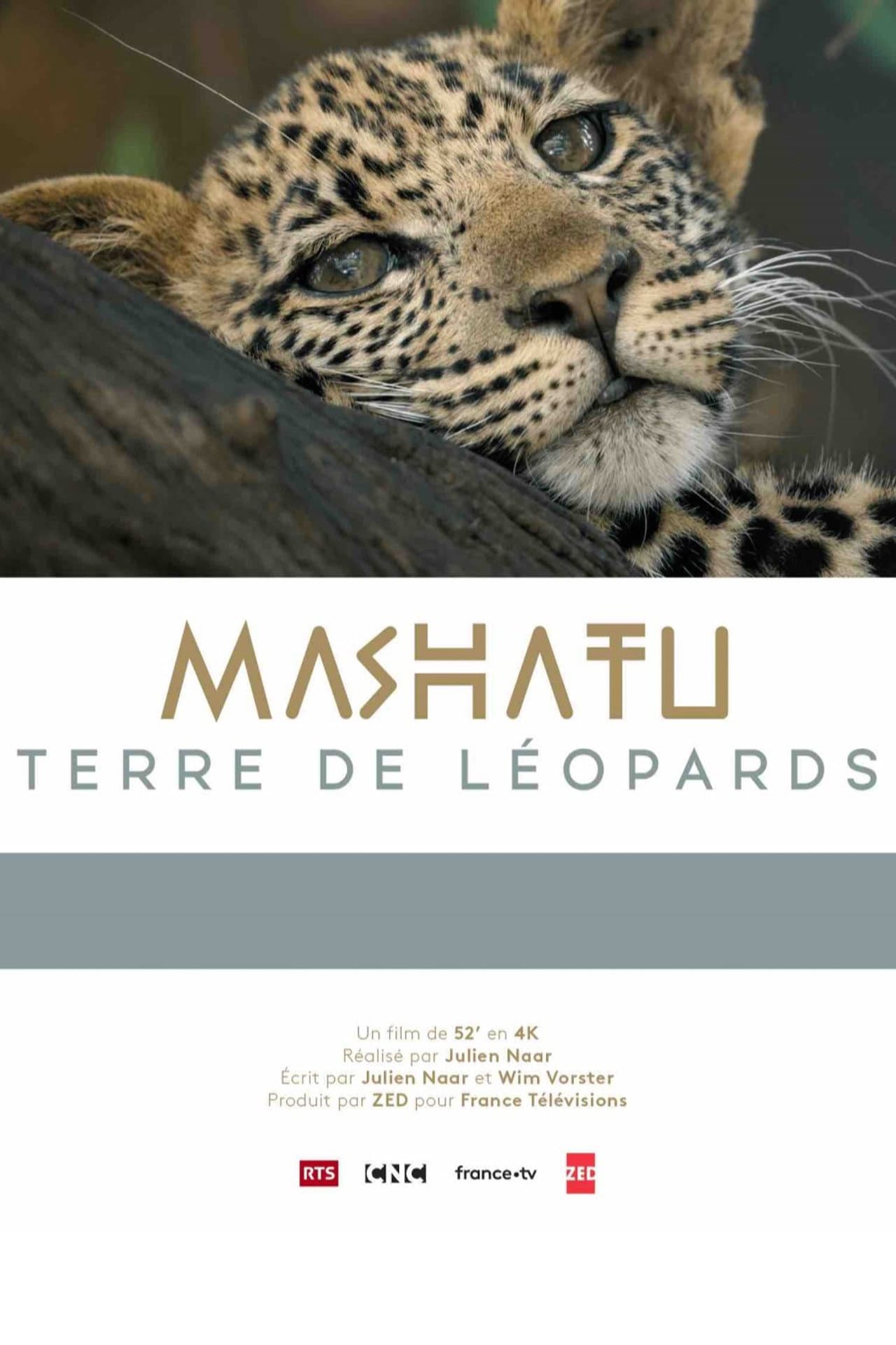 Mashatu: Land of Leopards preview 2