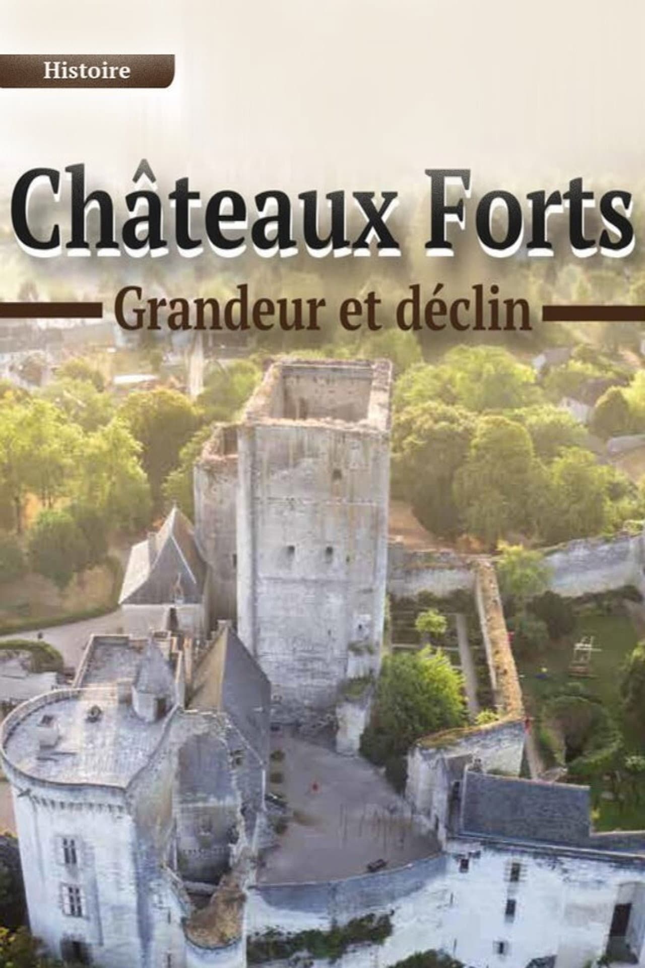 Châteaux forts : grandeur et déclin preview 1