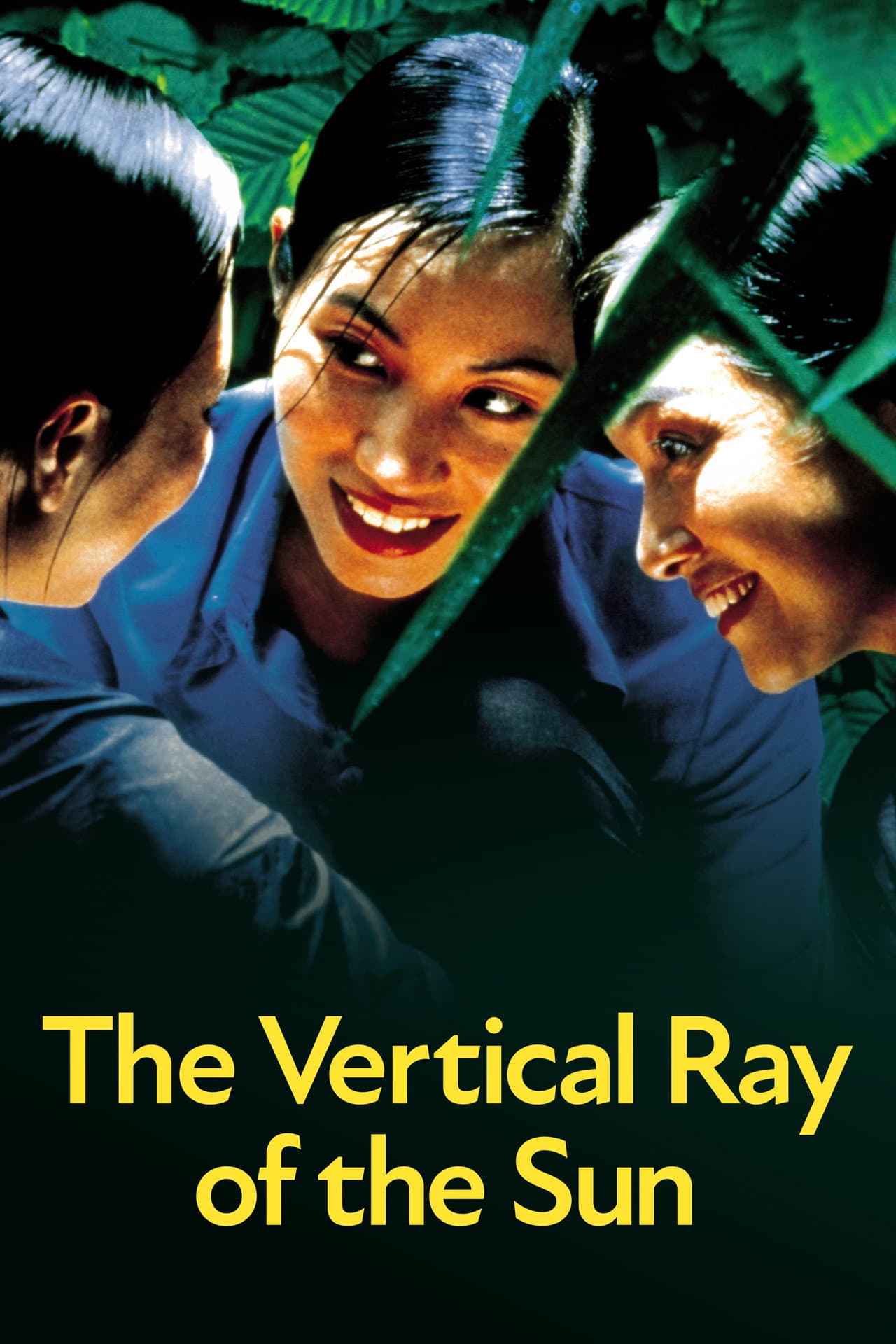 The Vertical Ray of the Sun preview 2