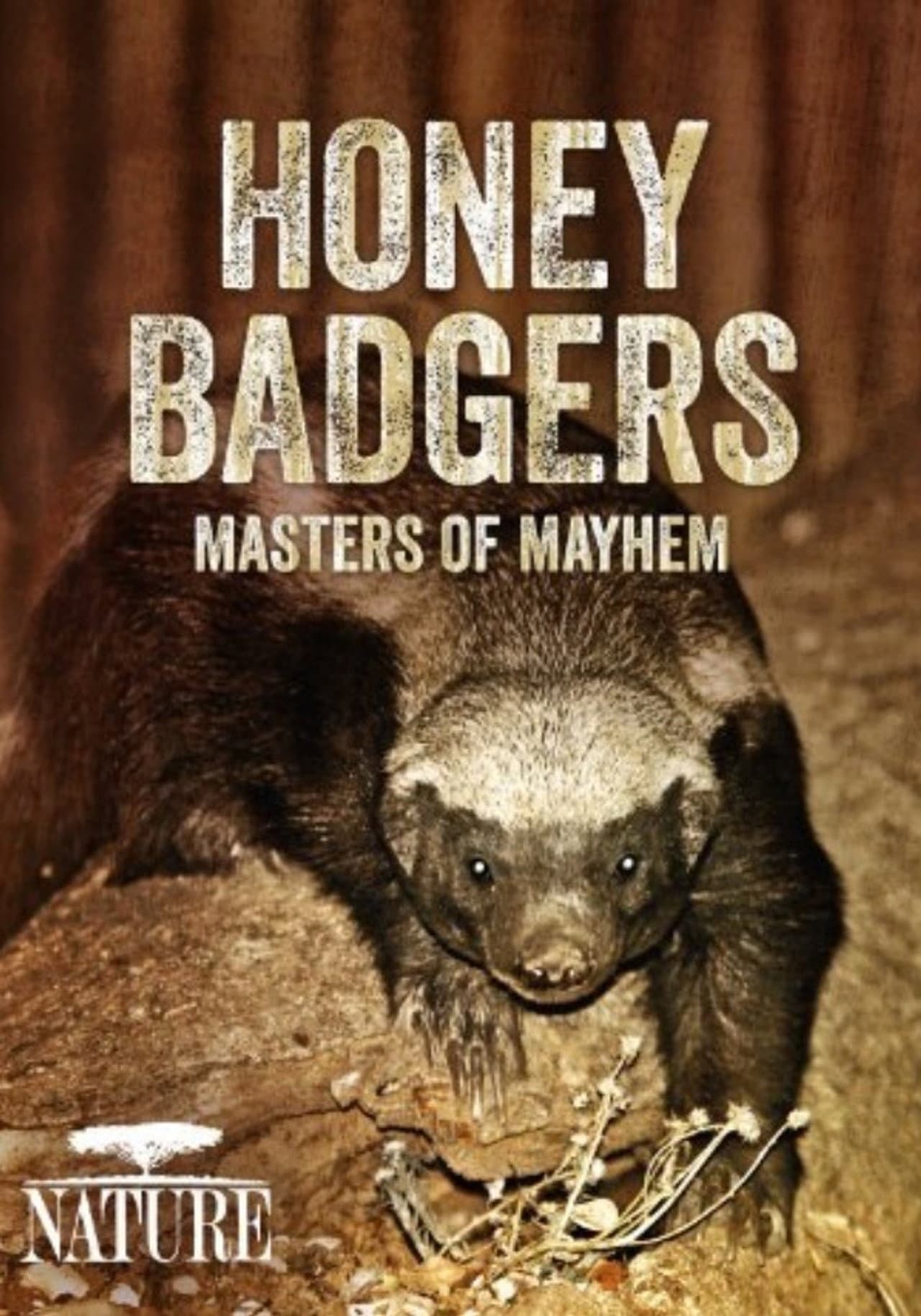 Honey Badgers: Masters of Mayhem preview 1