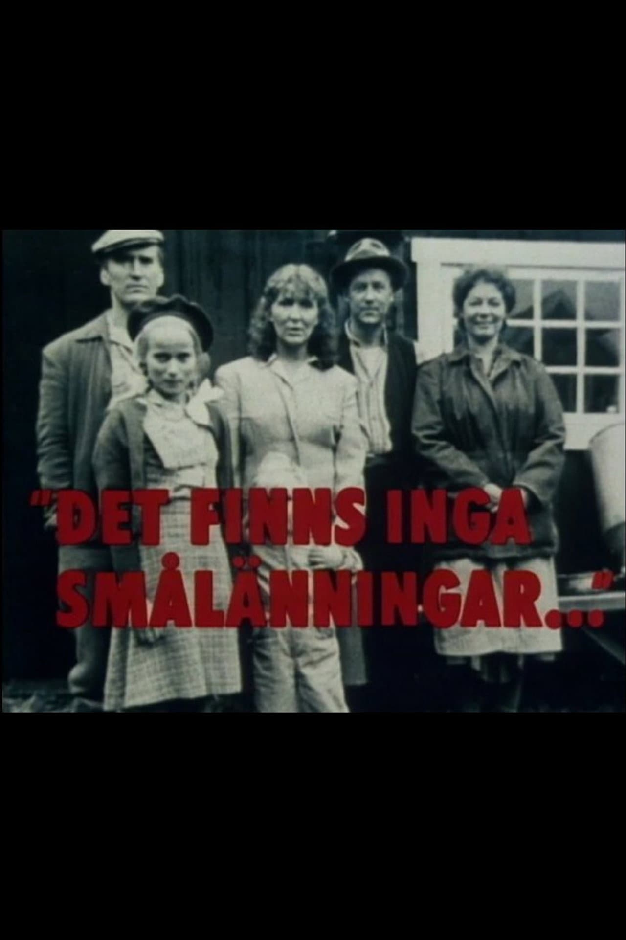 Det finns inga smålänningar preview 1