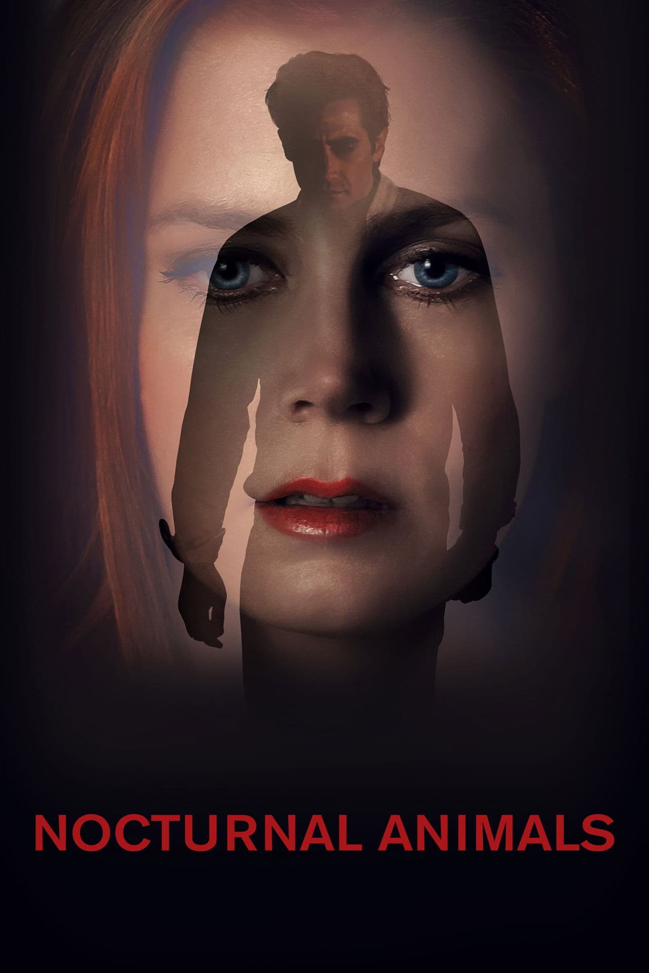 Nocturnal Animals preview 2
