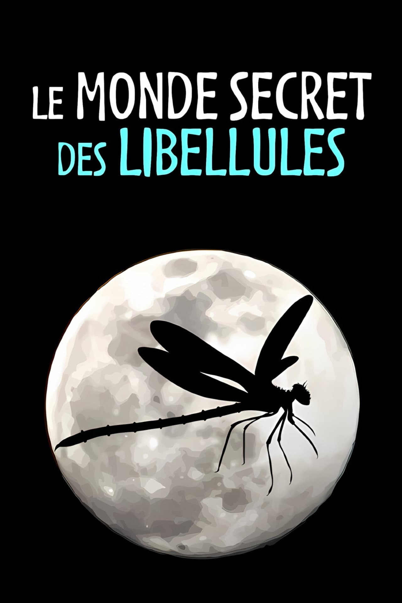 Le Monde secret des libellules preview 2