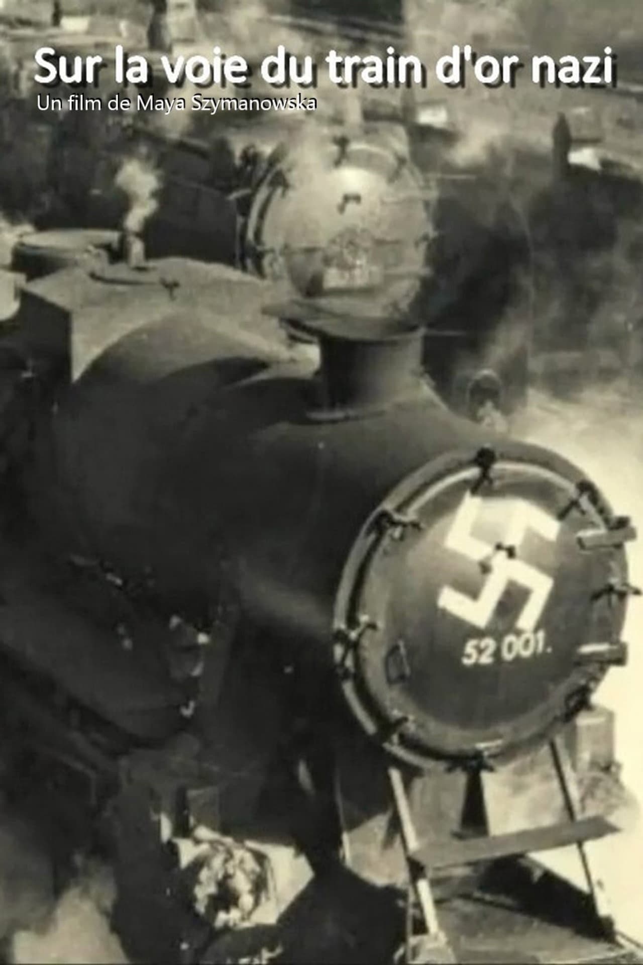 Sur la voie du train d'or nazi preview 1