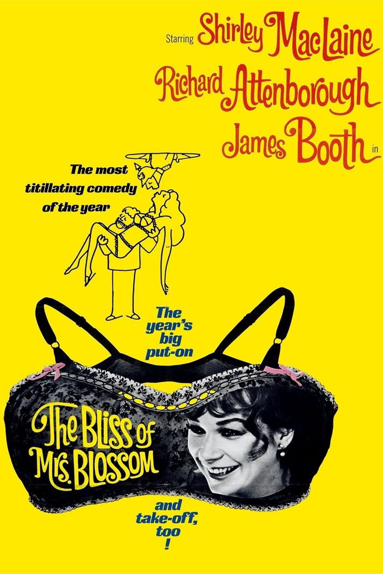 The Bliss of Mrs. Blossom preview 2
