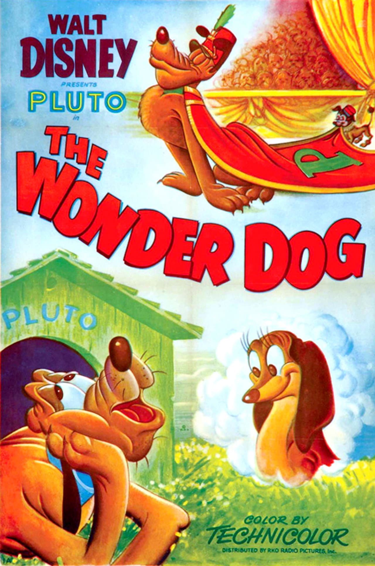 Wonder Dog preview 2