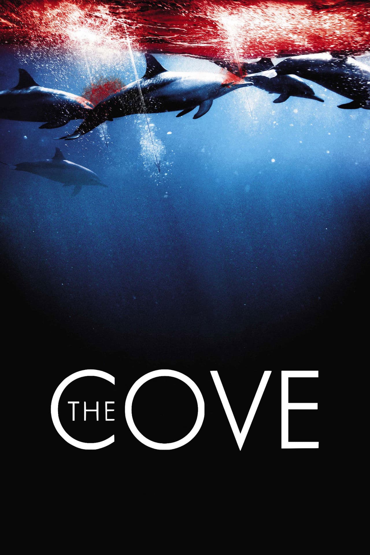 The Cove preview 2