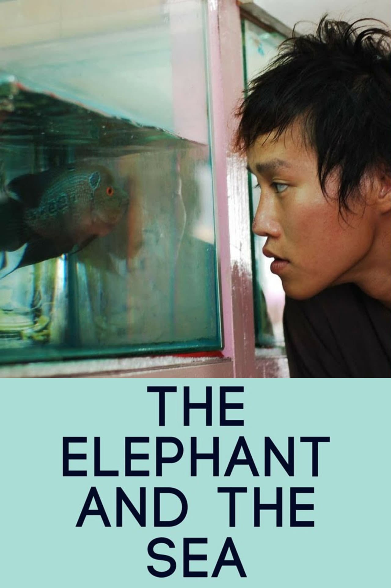 The Elephant and the Sea preview 2