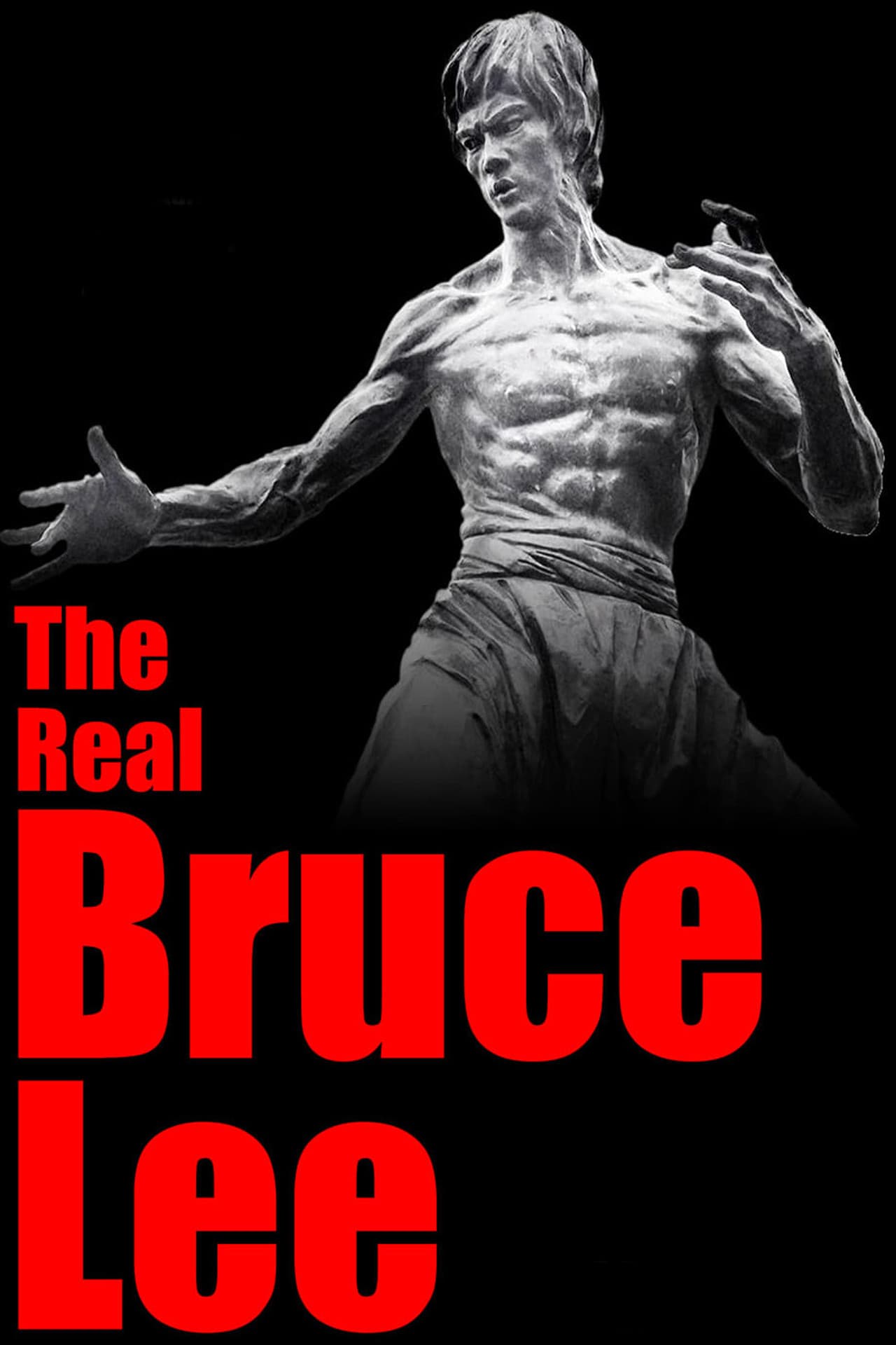The Real Bruce Lee preview 2