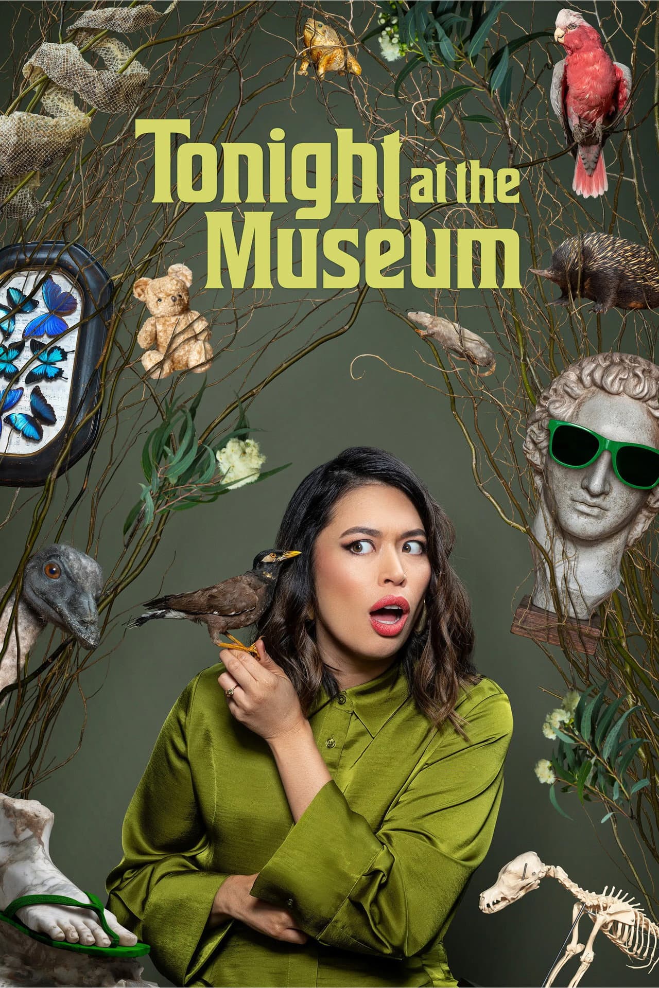 Tonight at the Museum preview 2