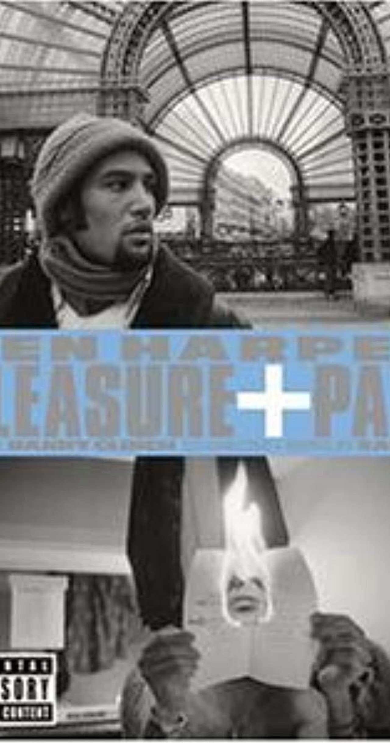 Ben Harper: Pleasure and Pain preview 1