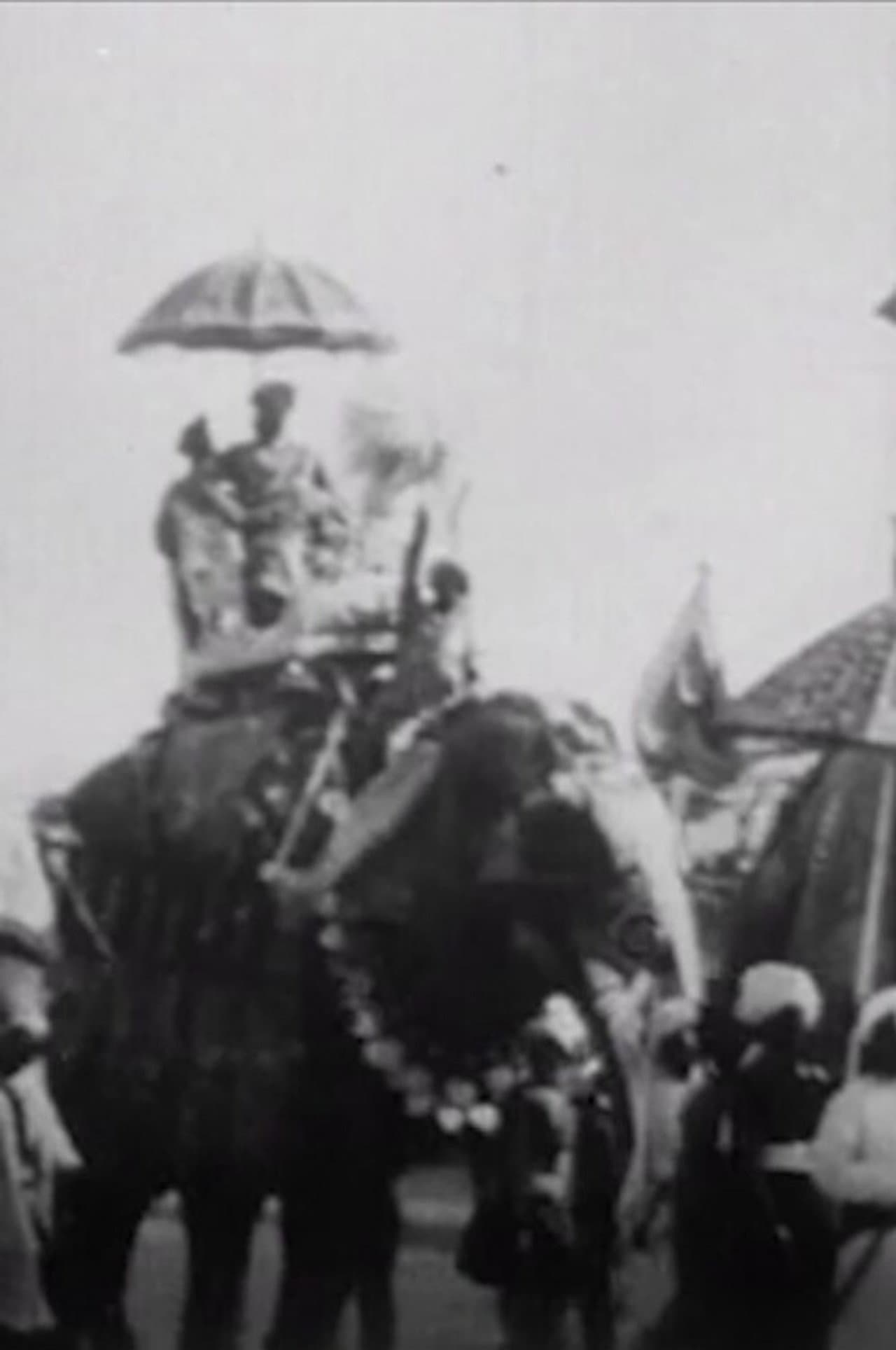 Procession of Elephants with Howdahs - India preview 2